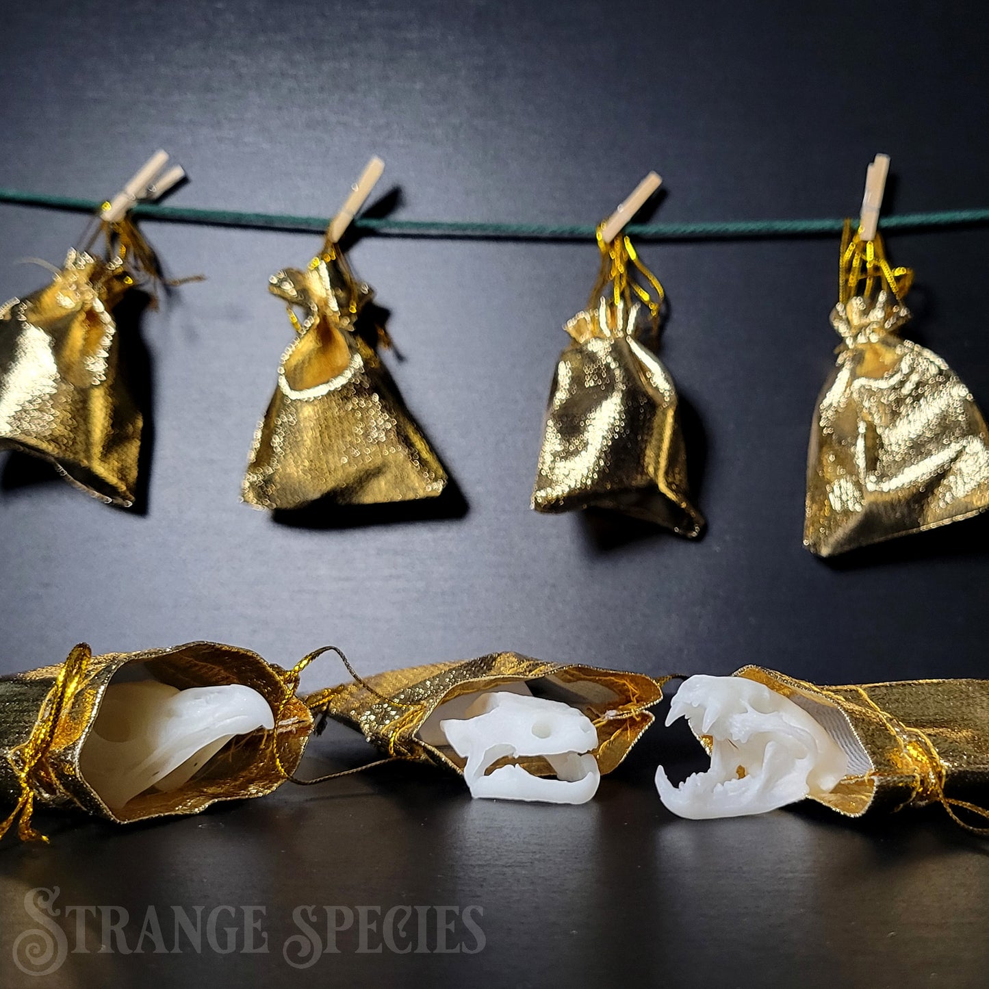Mini Mystery Skull 12-Day Advent Holiday Gift Set
