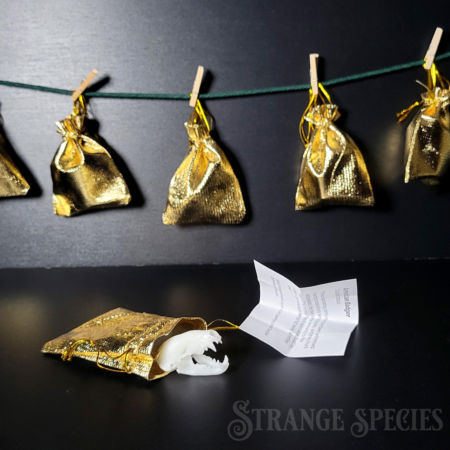 Mini Mystery Skull 12-Day Advent Holiday Gift Set