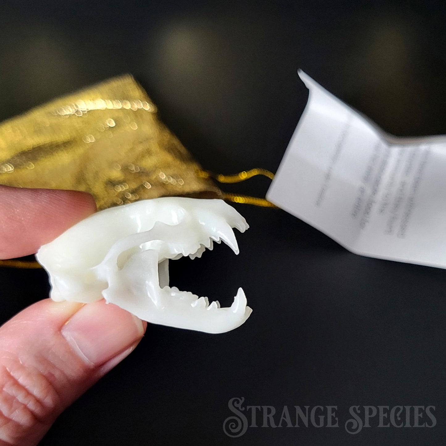 Mini Mystery Skull 12-Day Advent Holiday Gift Set