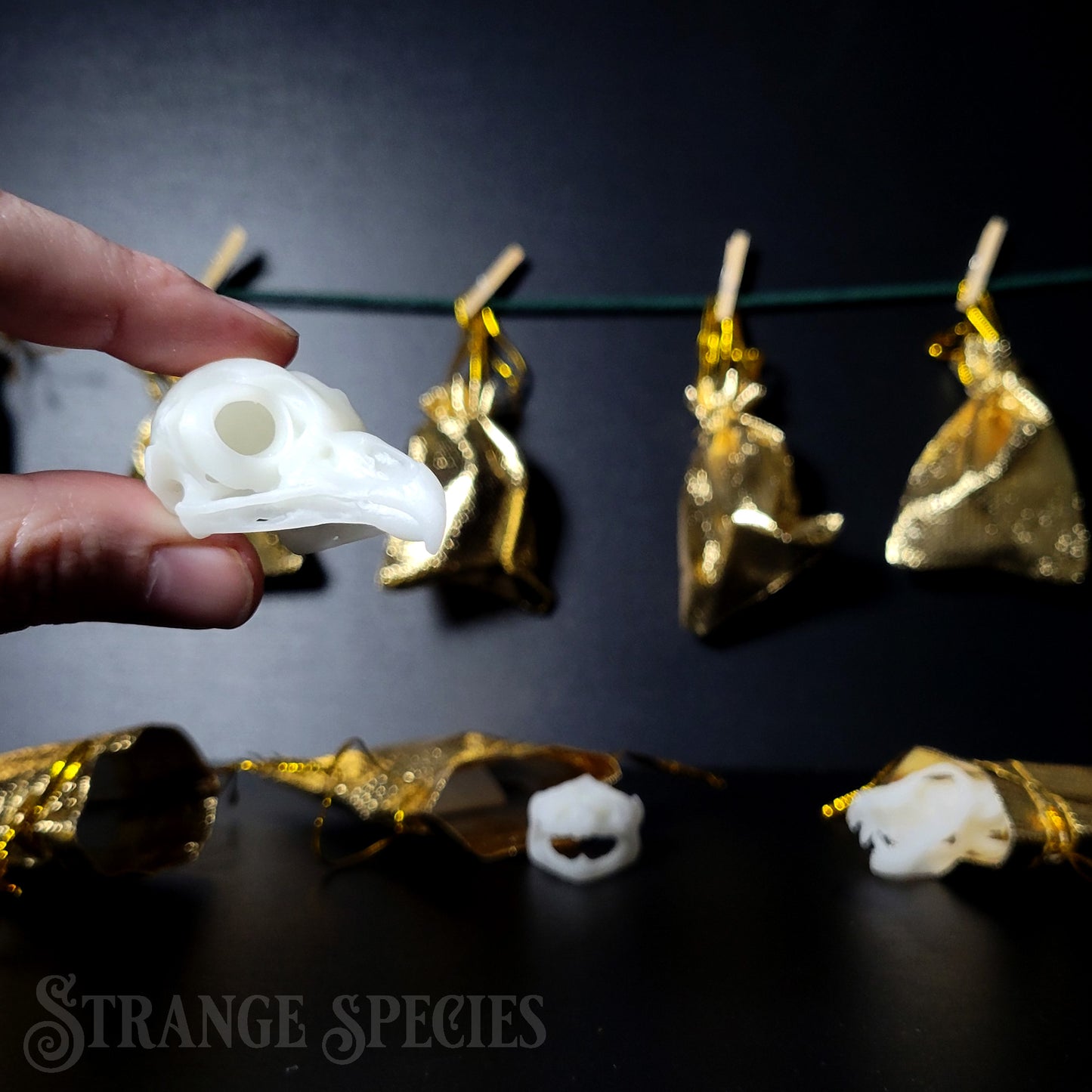 Mini Mystery Skull 12-Day Advent Holiday Gift Set