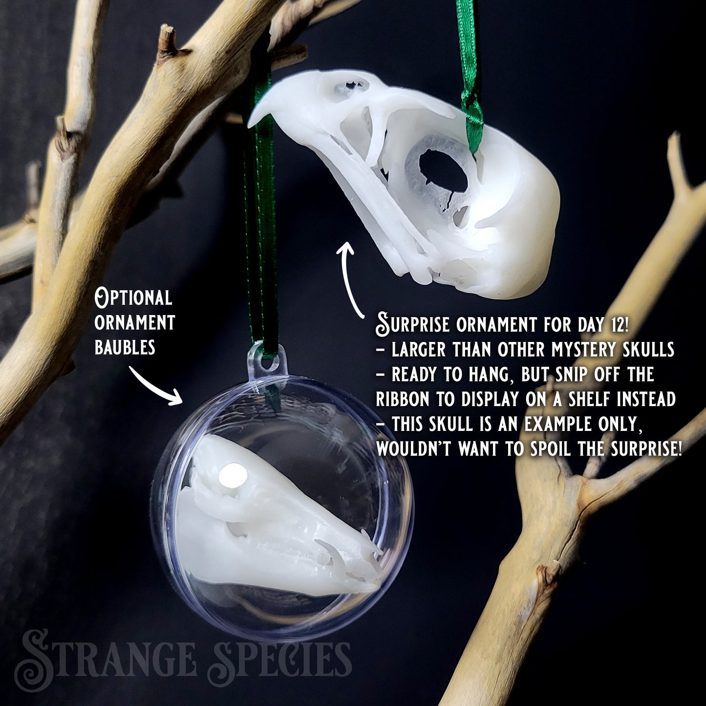 Mini Mystery Skull 12-Day Advent Holiday Gift Set