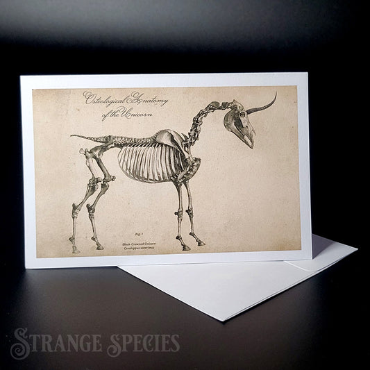Vintage Unicorn Anatomy Greeting Card