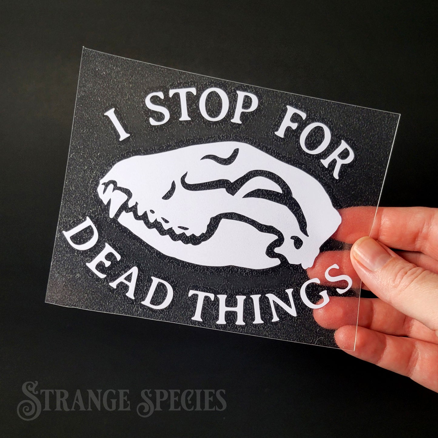 I Stop For Dead Things Vinyl Raccoon Skull Decal