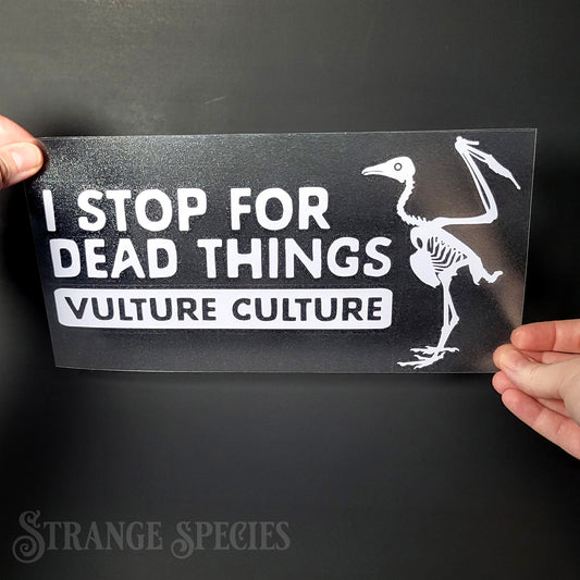 I Stop For Dead Things Vinyl Vulture Culture Decal