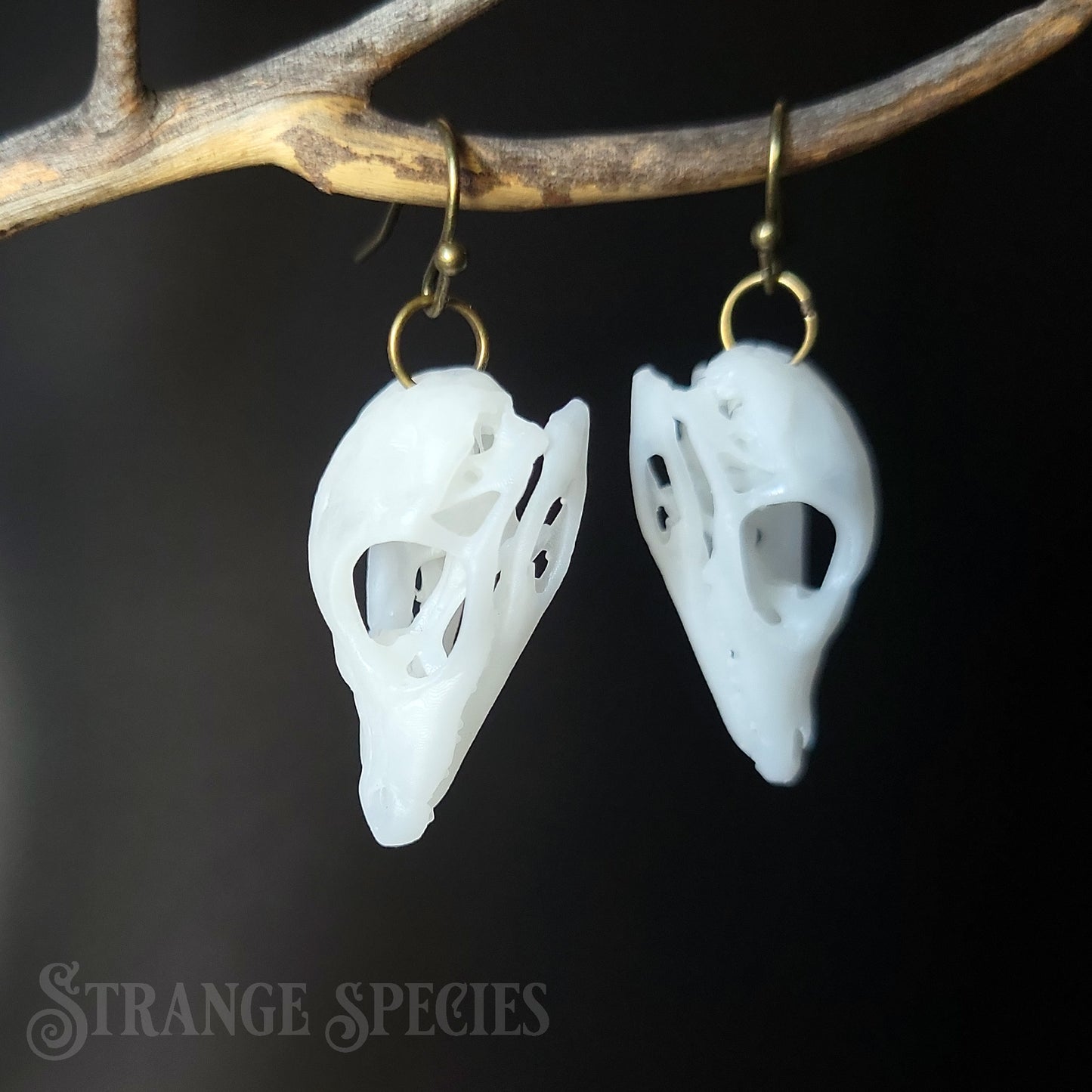 Alligator Hatchling Life Sized Skull Replica Earrings