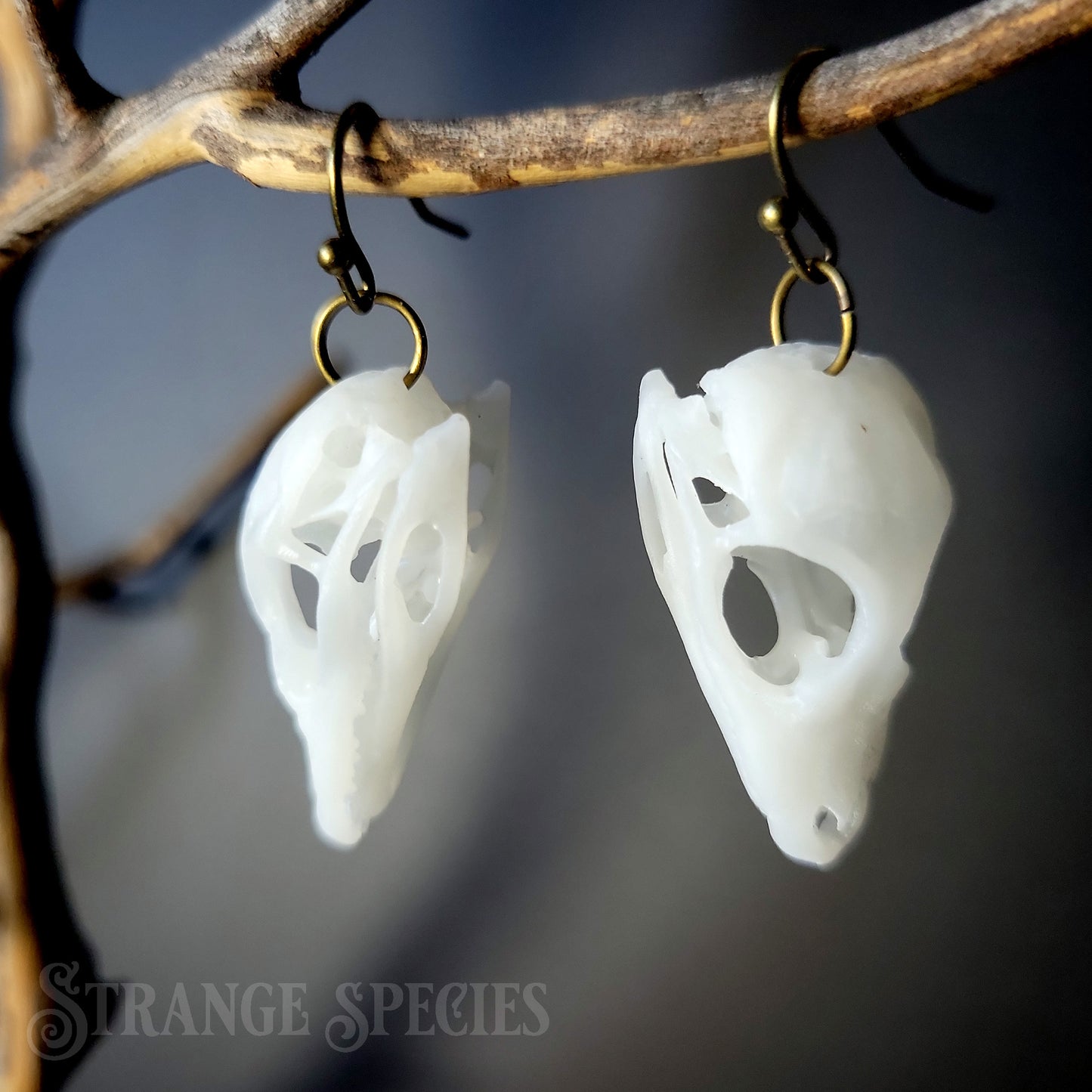 Alligator Hatchling Life Sized Skull Replica Earrings