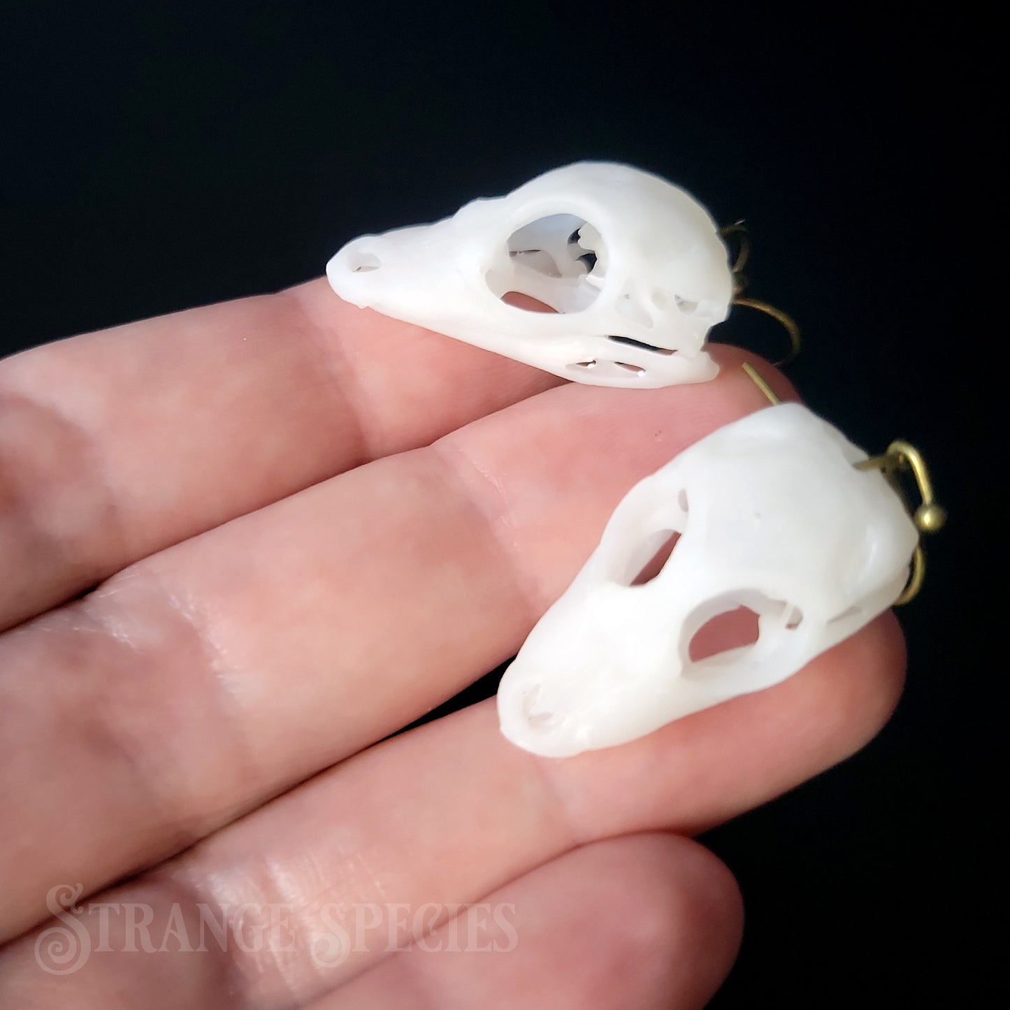 Alligator Hatchling Life Sized Skull Replica Earrings