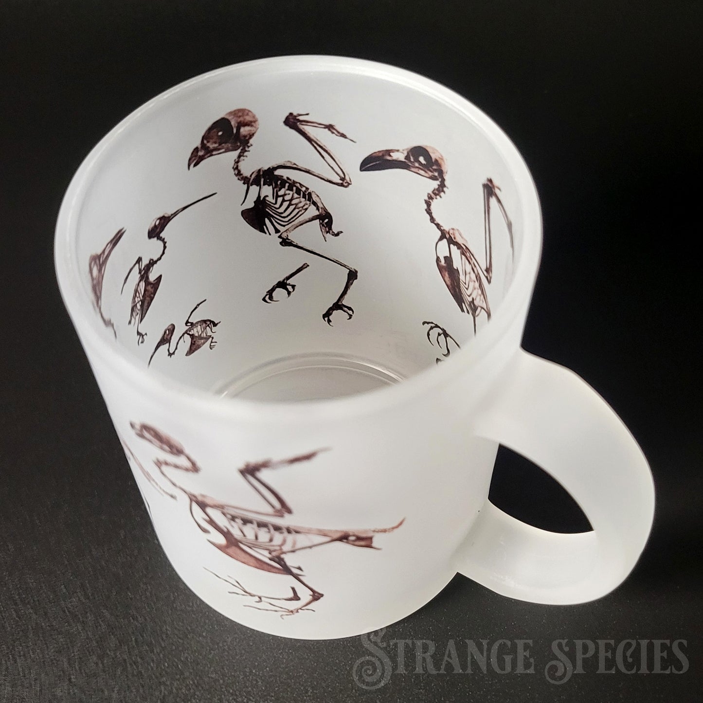 Bird Skeletons Osteology Illustration Frosted Glass Mug 11 oz