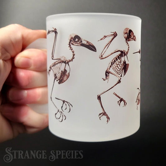 Bird Skeletons Osteology Illustration Frosted Glass Mug 11 oz
