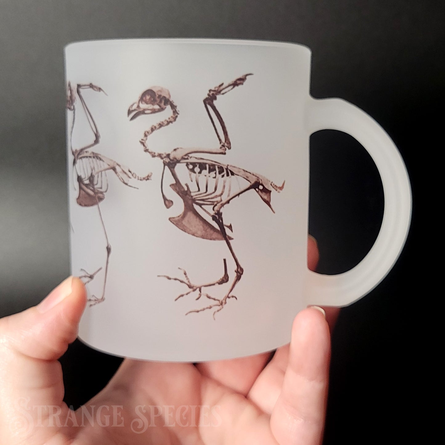 Bird Skeletons Osteology Illustration Frosted Glass Mug 11 oz