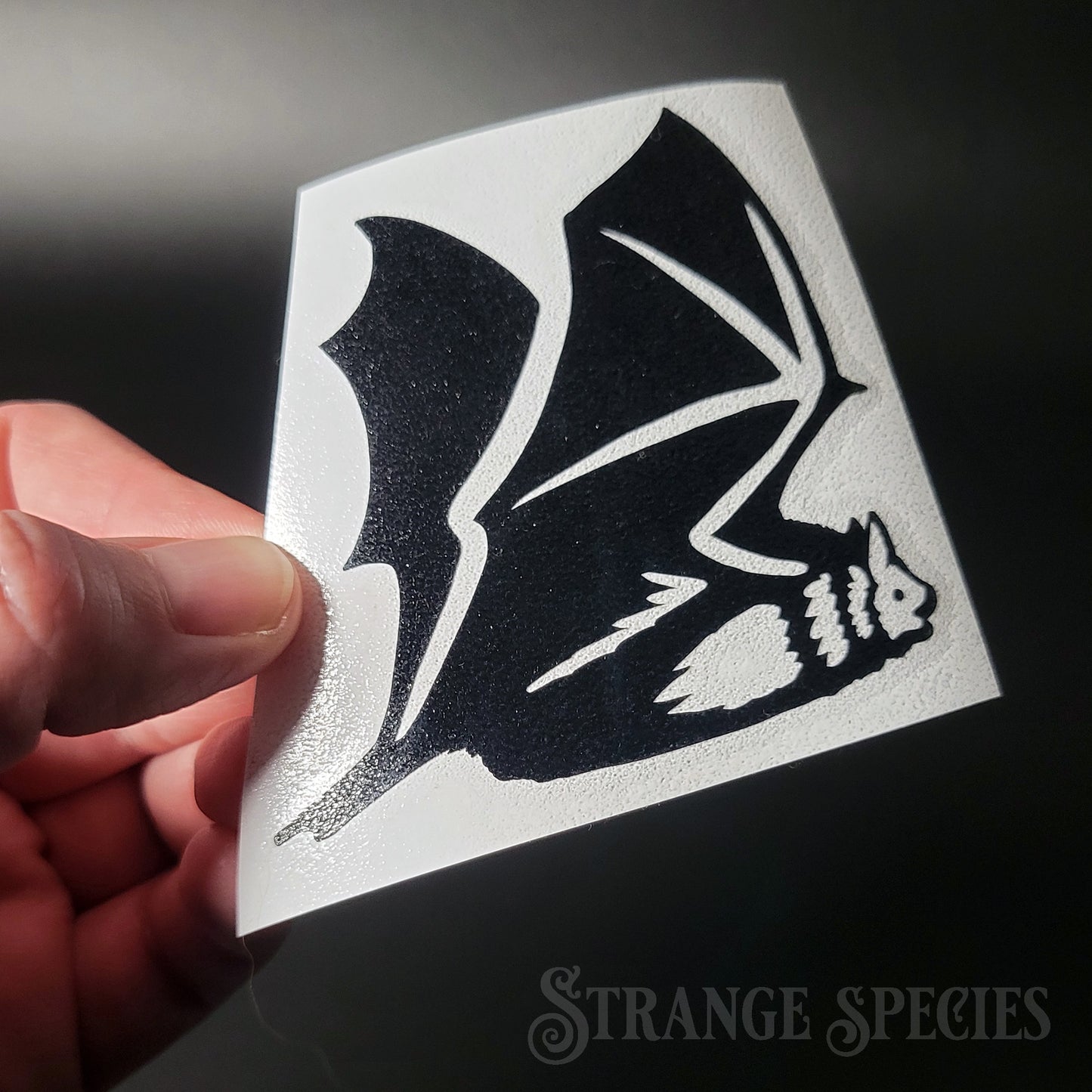 Flying Pipistrelle Bat Vinyl Decal