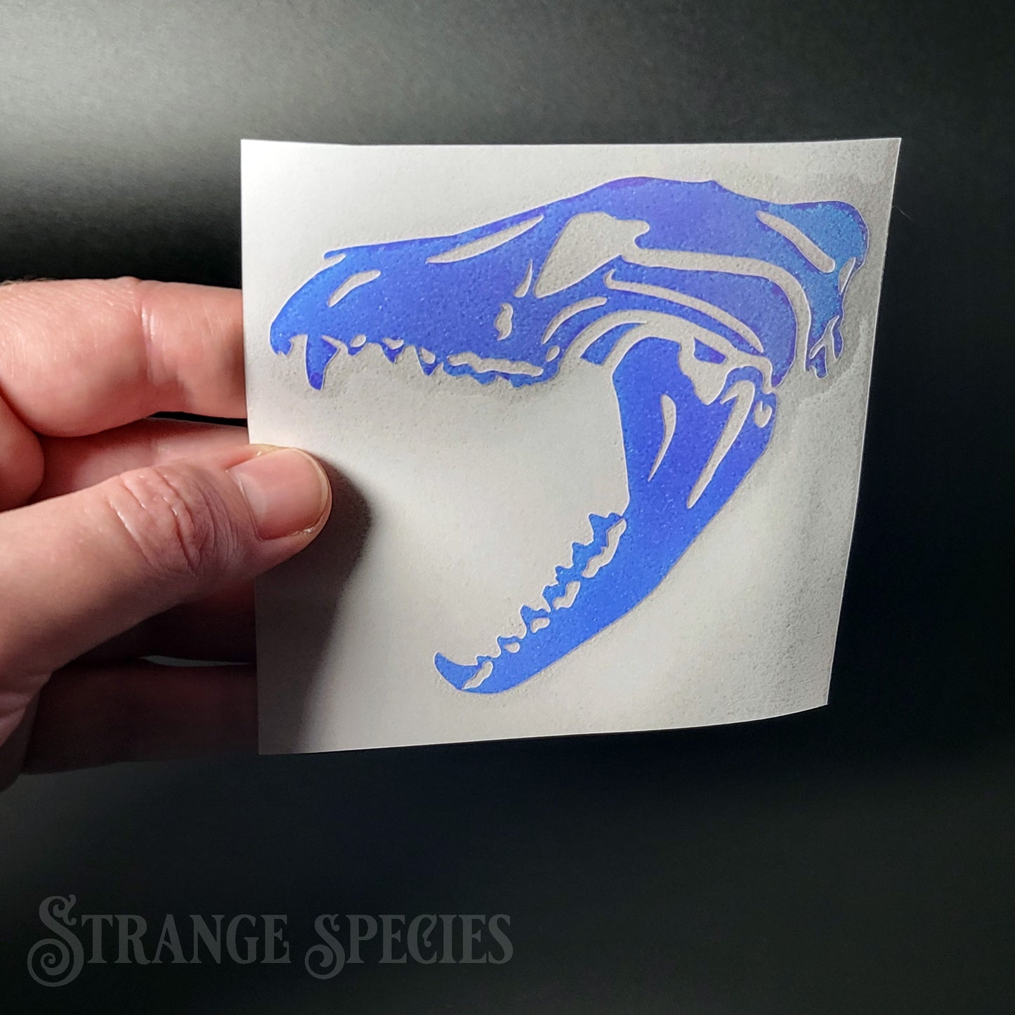 Thylacine Skull Holographic Vinyl Decal