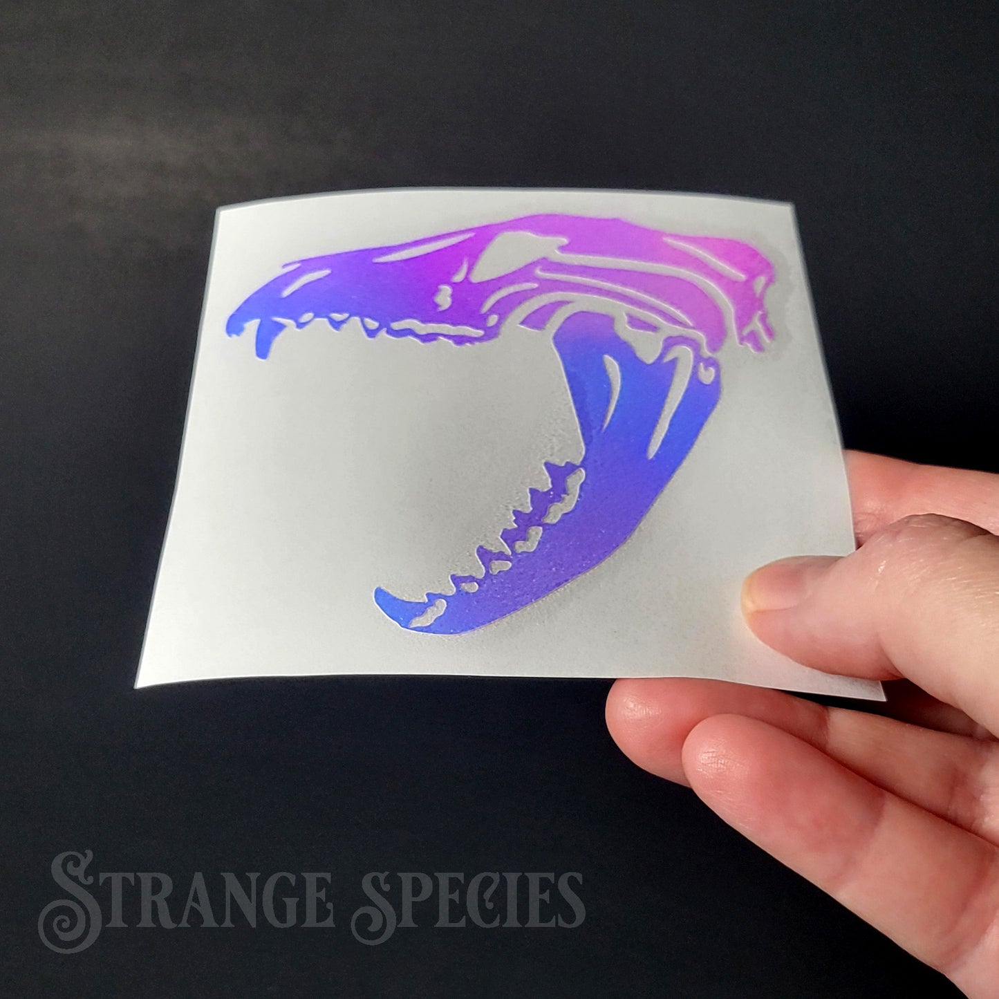 Thylacine Skull Holographic Vinyl Decal