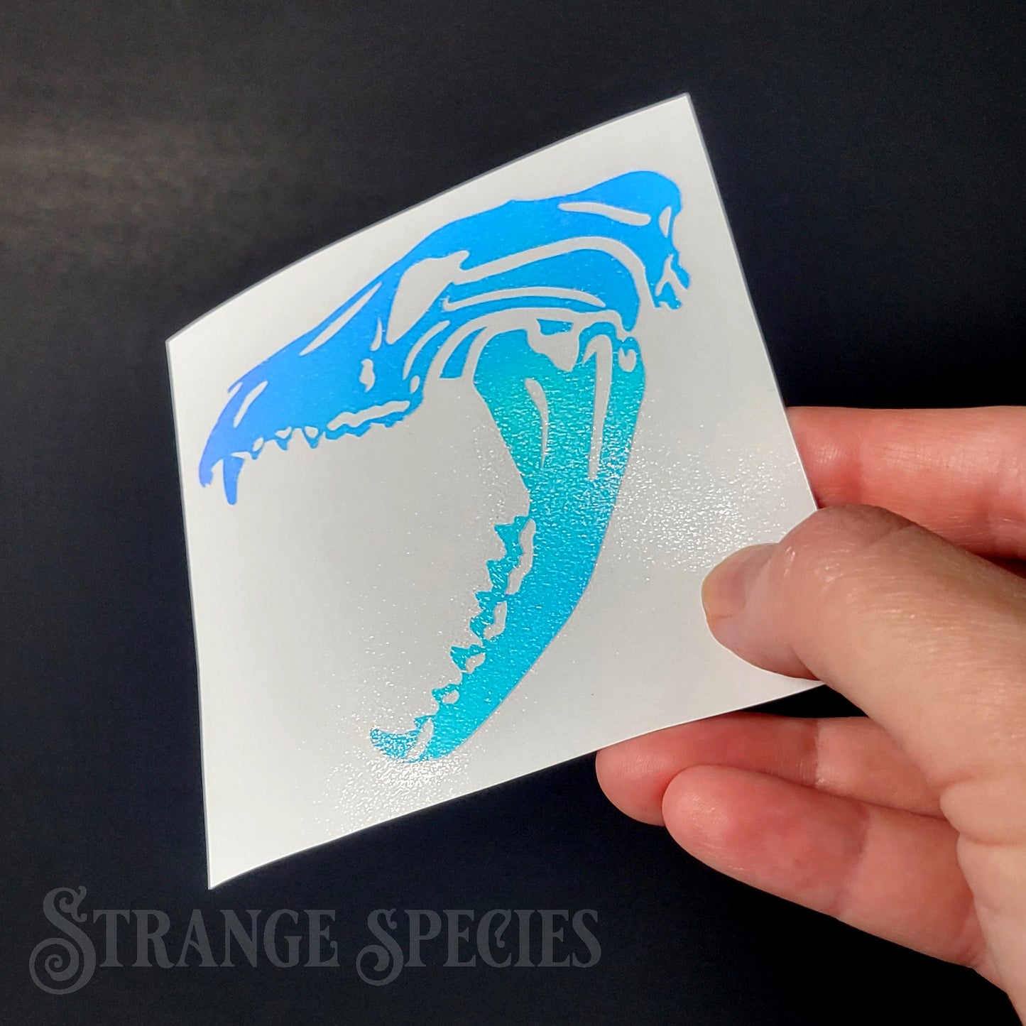 Thylacine Skull Holographic Vinyl Decal