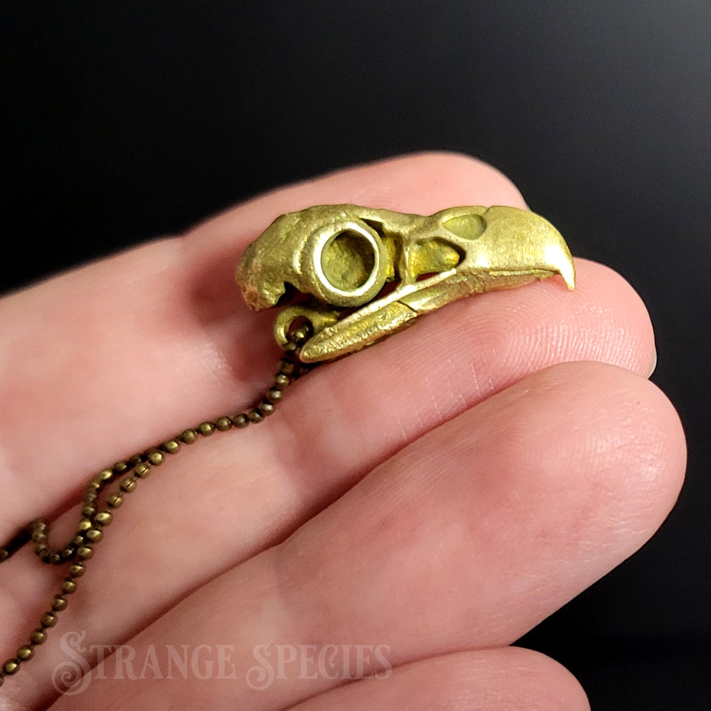 Eagle Skull Brass Pendant Necklace