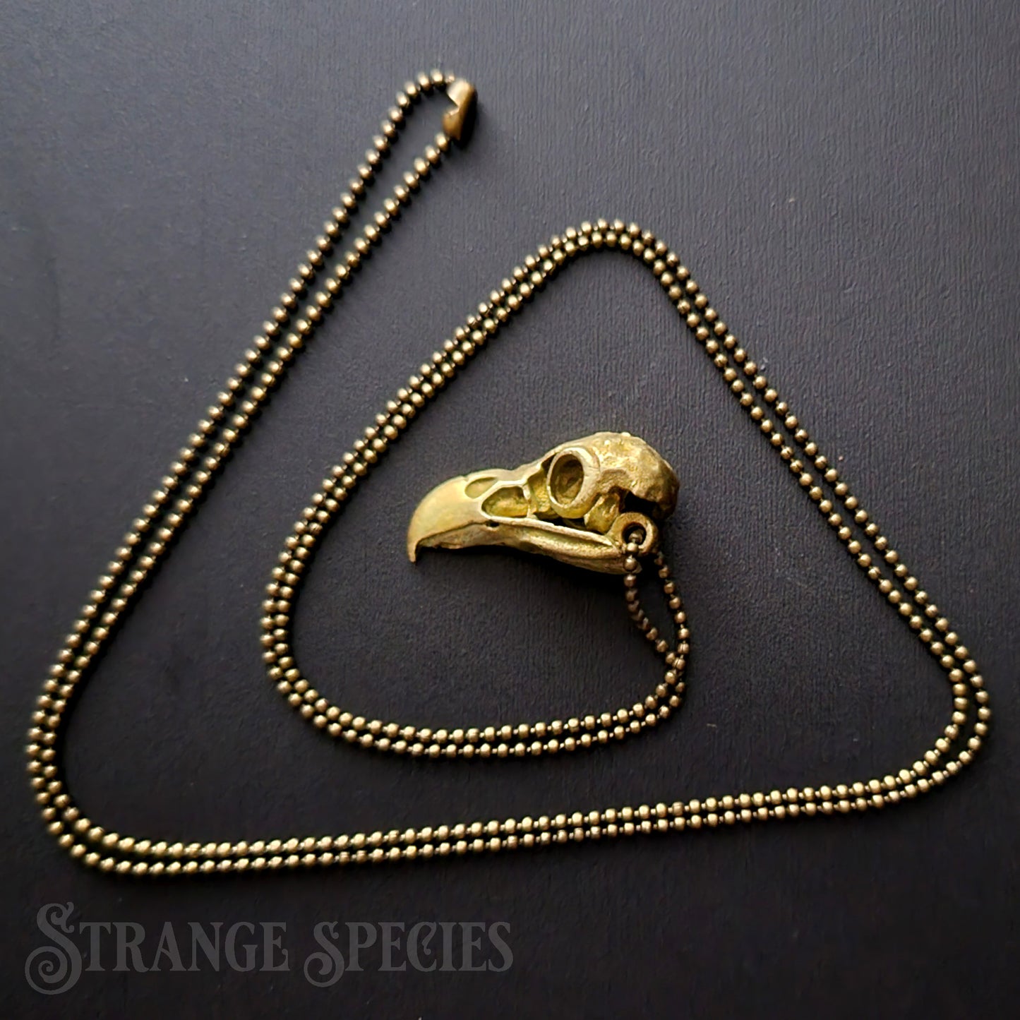 Eagle Skull Brass Pendant Necklace