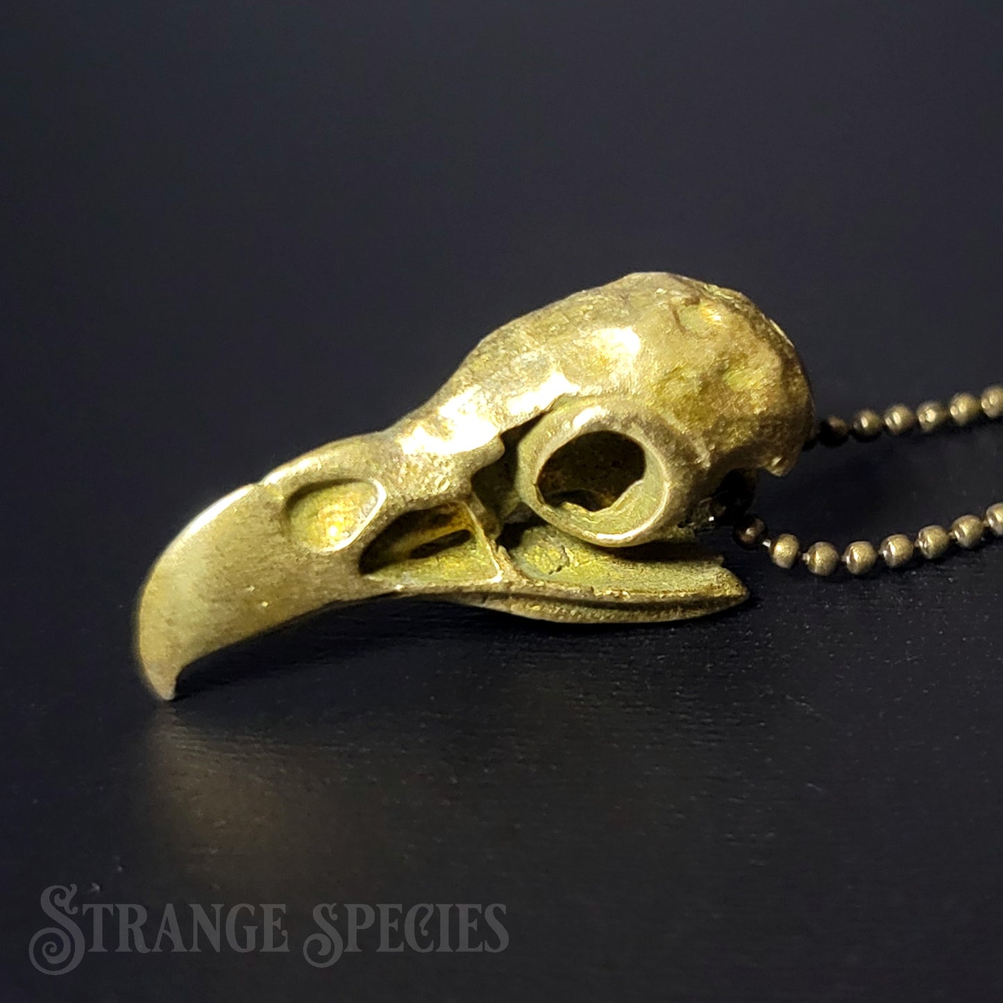 Eagle Skull Brass Pendant Necklace