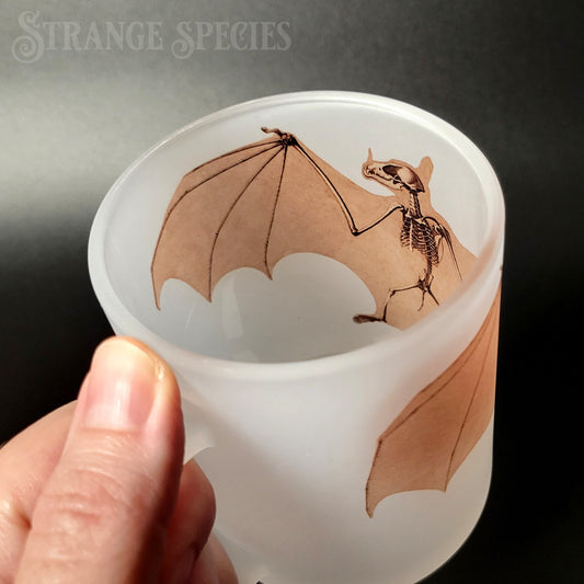 Greater Spear-Nosed Bat Vintage Illustration Frosted Glass Mug 11 oz