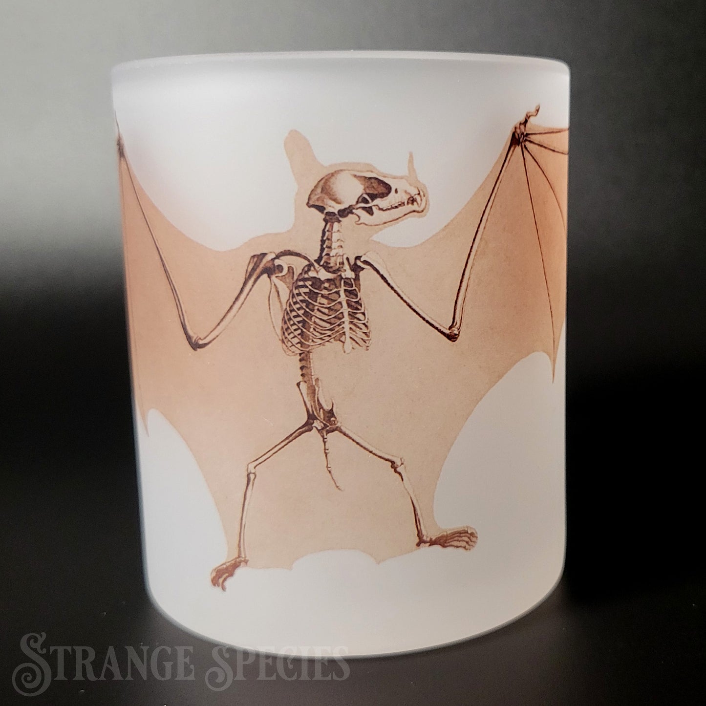 Greater Spear-Nosed Bat Vintage Illustration Frosted Glass Mug 11 oz