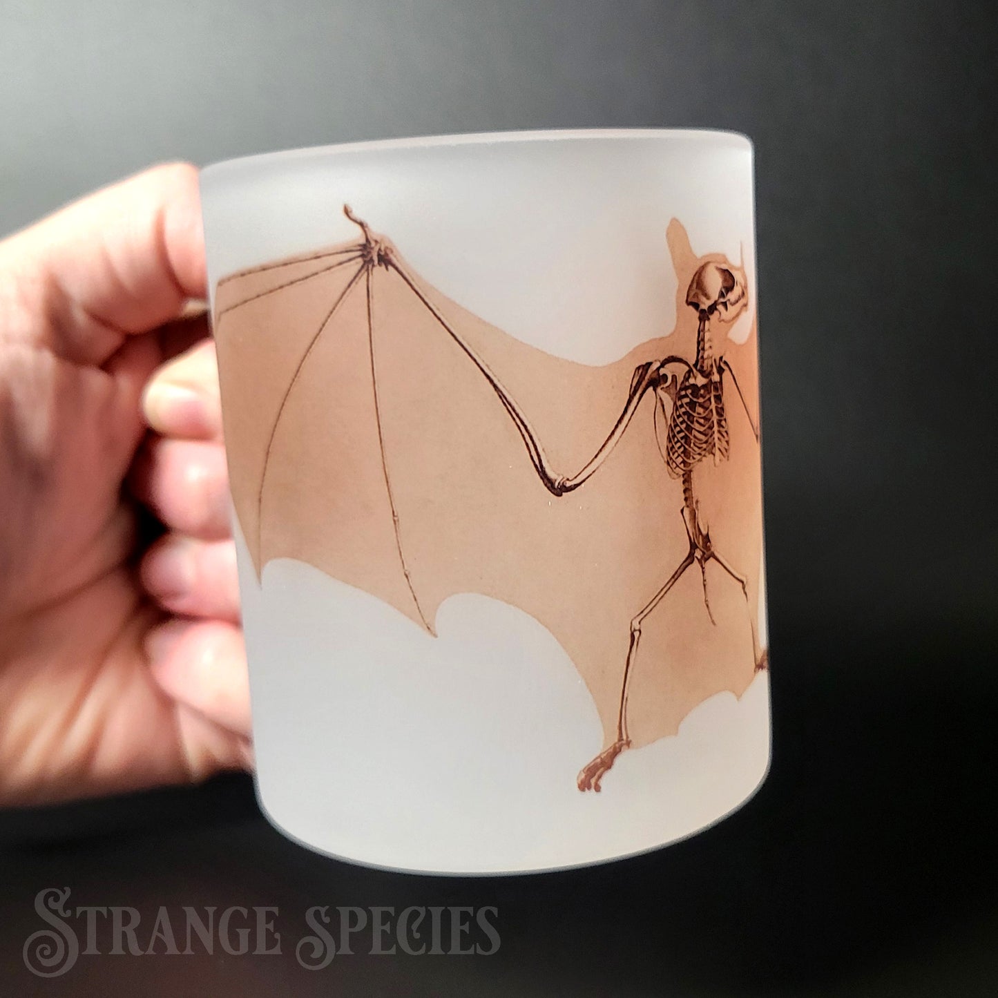 Greater Spear-Nosed Bat Vintage Illustration Frosted Glass Mug 11 oz