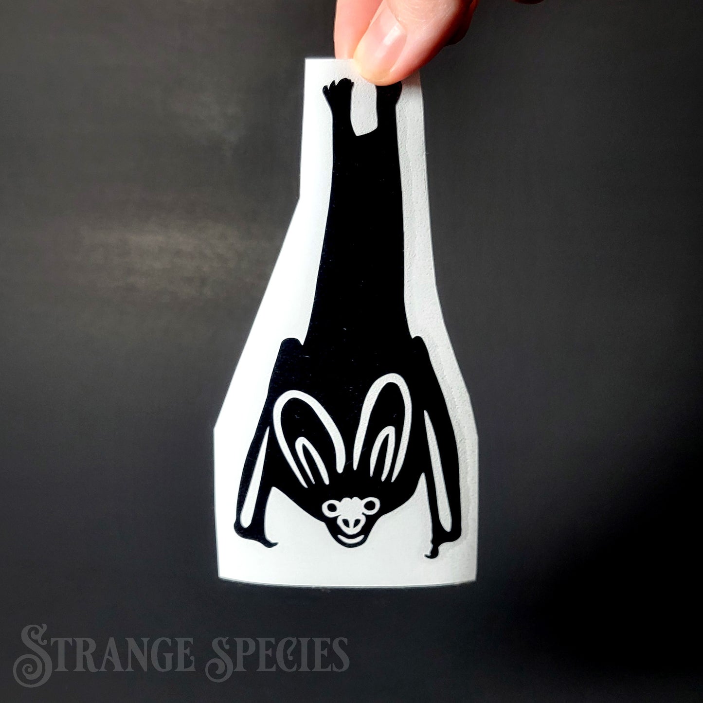 Upside-Down Hanging Bat Vinyl Decal