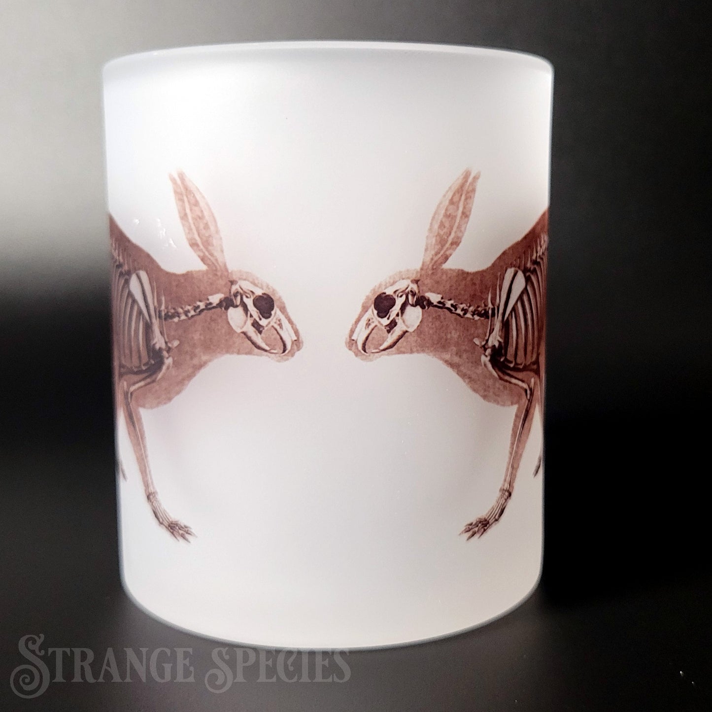 Hare / Rabbit Vintage Skeleton Illustration Frosted Glass Mug 11 oz