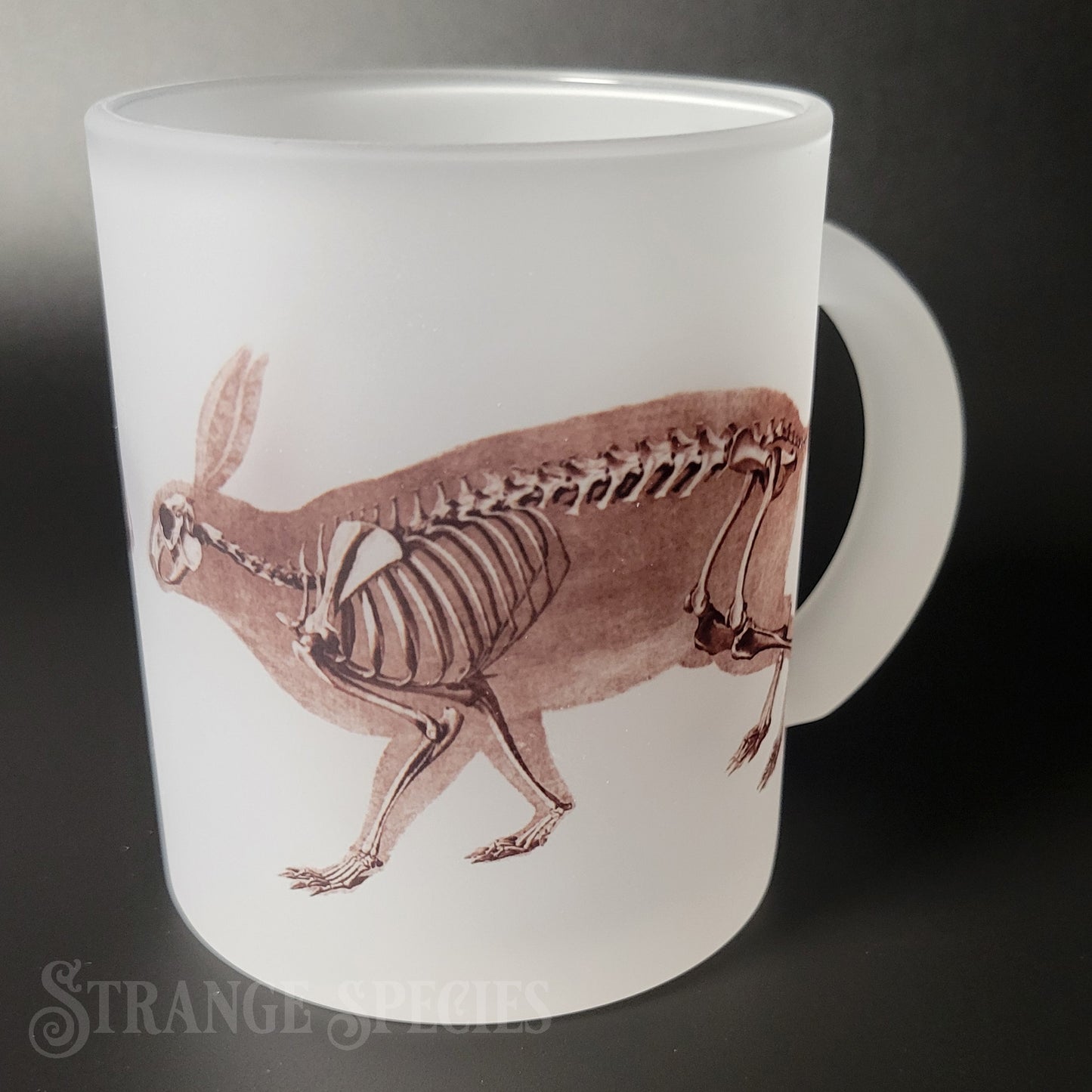 Hare / Rabbit Vintage Skeleton Illustration Frosted Glass Mug 11 oz