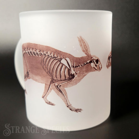 Hare / Rabbit Vintage Skeleton Illustration Frosted Glass Mug 11 oz