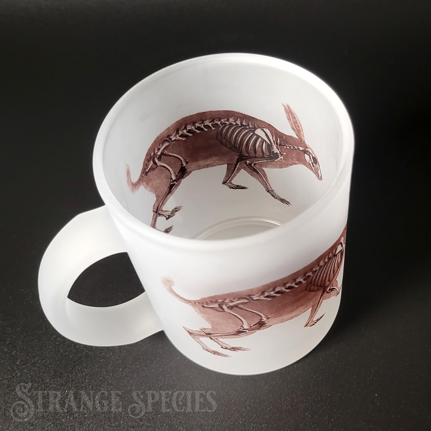 Hare / Rabbit Vintage Skeleton Illustration Frosted Glass Mug 11 oz