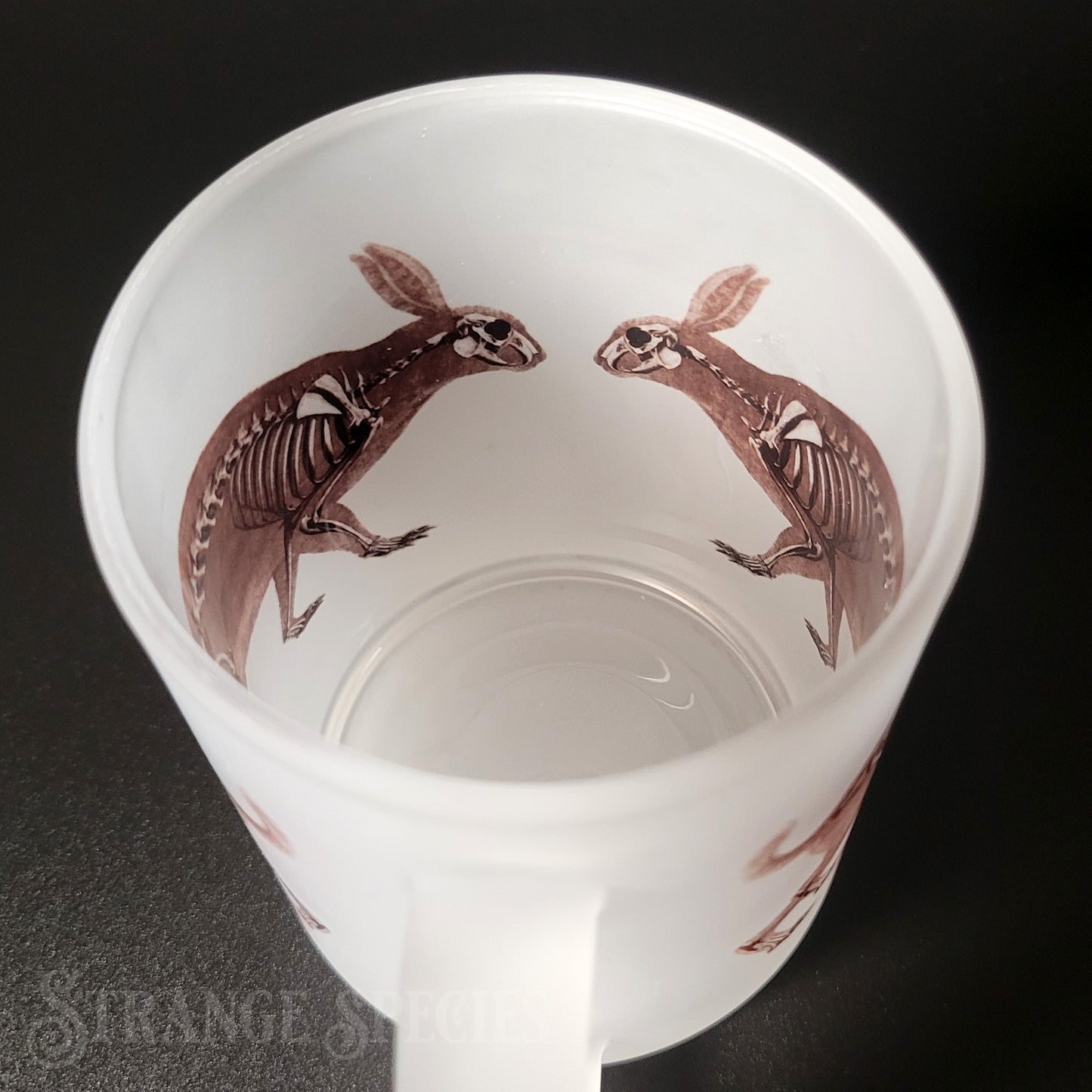 Hare / Rabbit Vintage Skeleton Illustration Frosted Glass Mug 11 oz