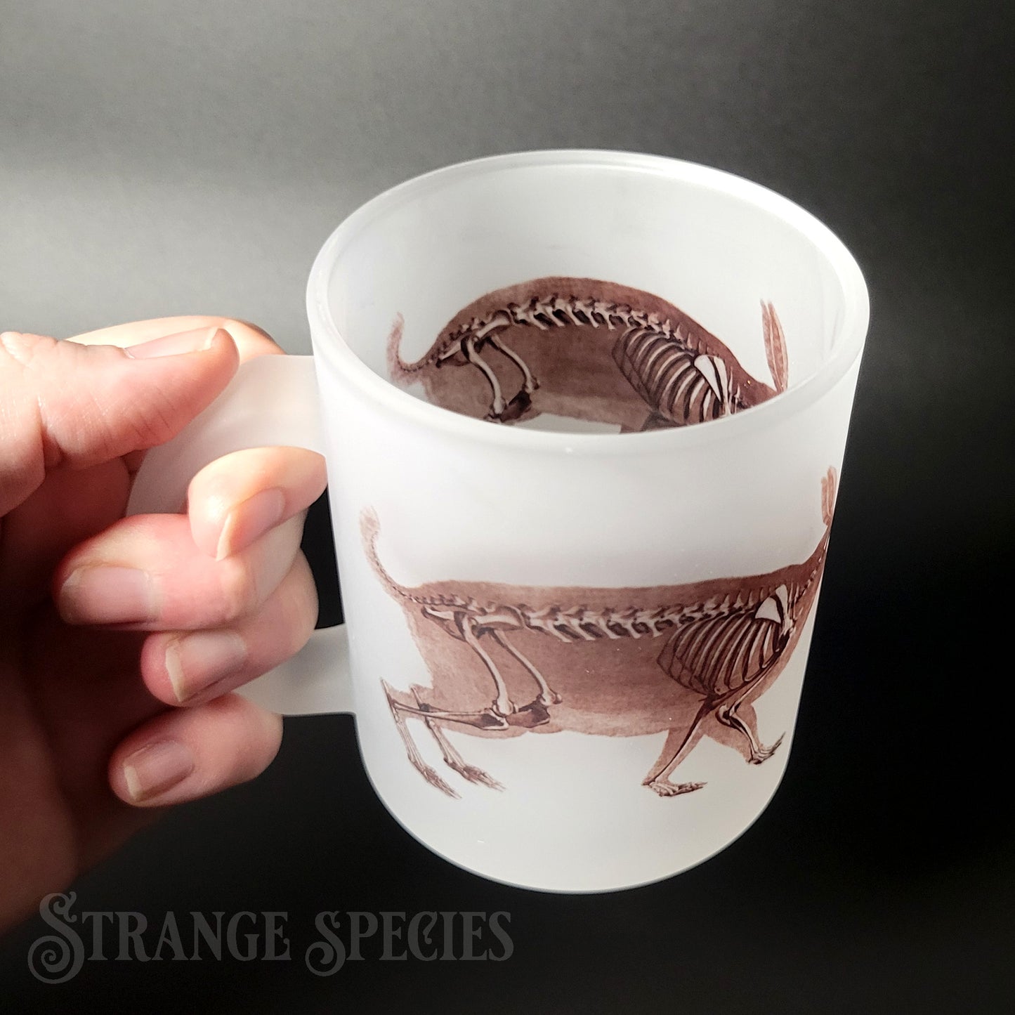 Hare / Rabbit Vintage Skeleton Illustration Frosted Glass Mug 11 oz