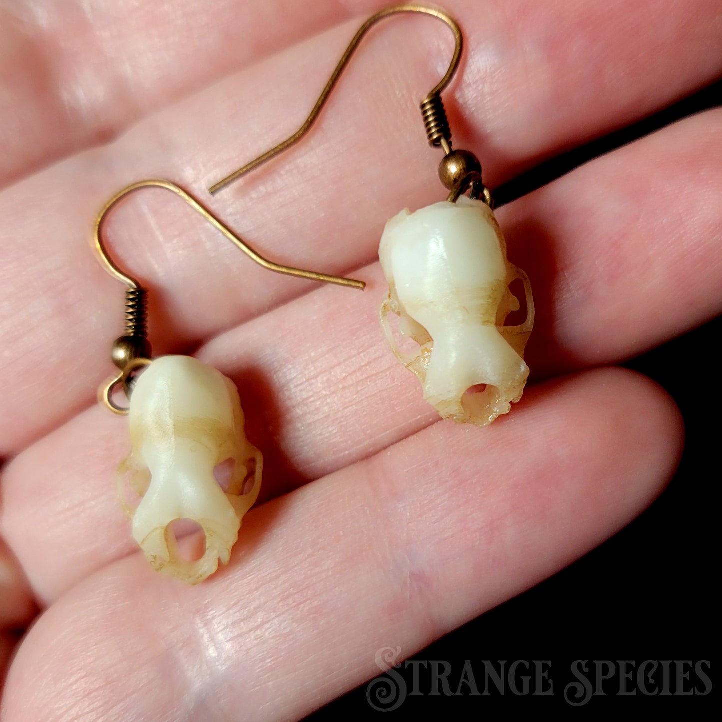 Hoary Bat Dangle Earrings