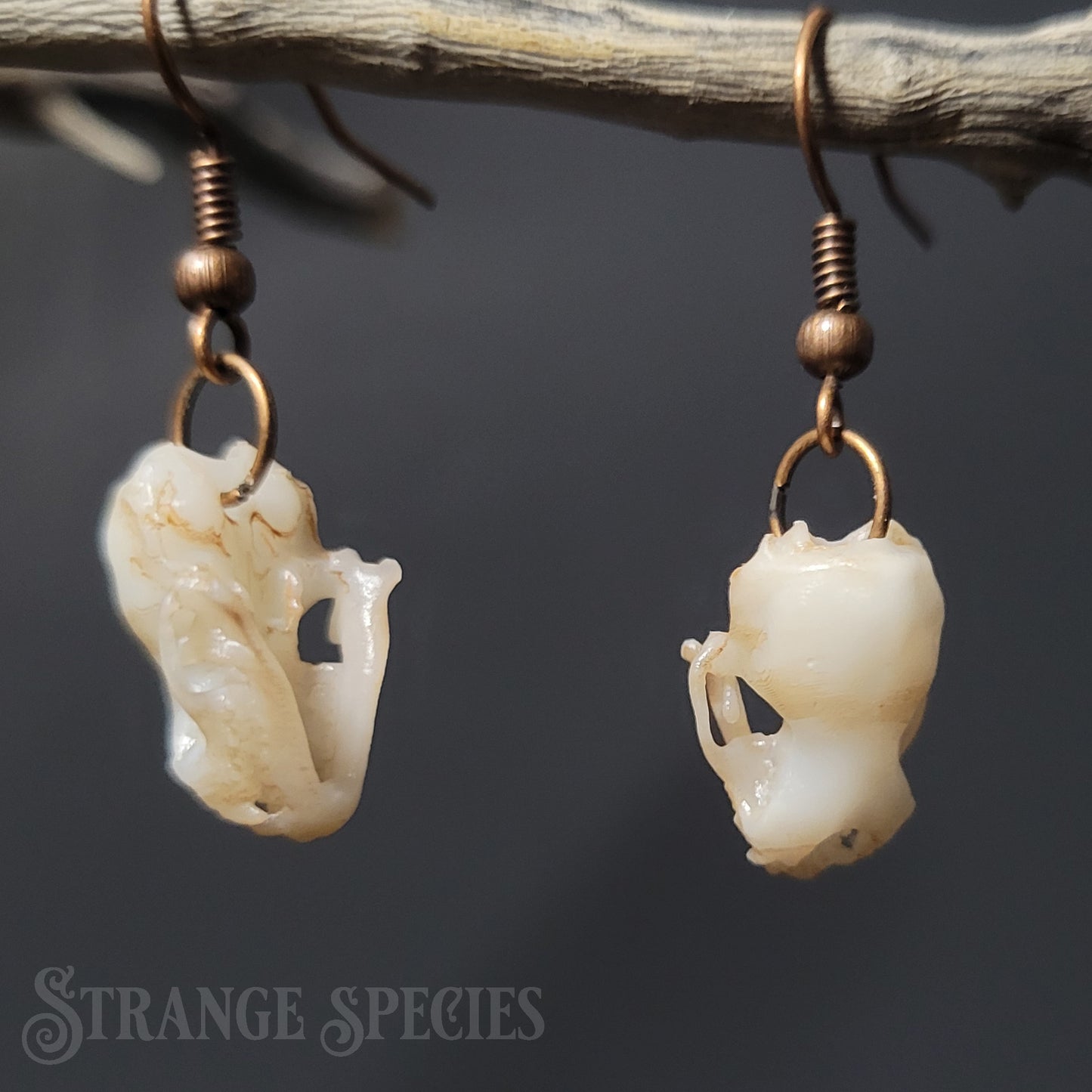 Hoary Bat Dangle Earrings