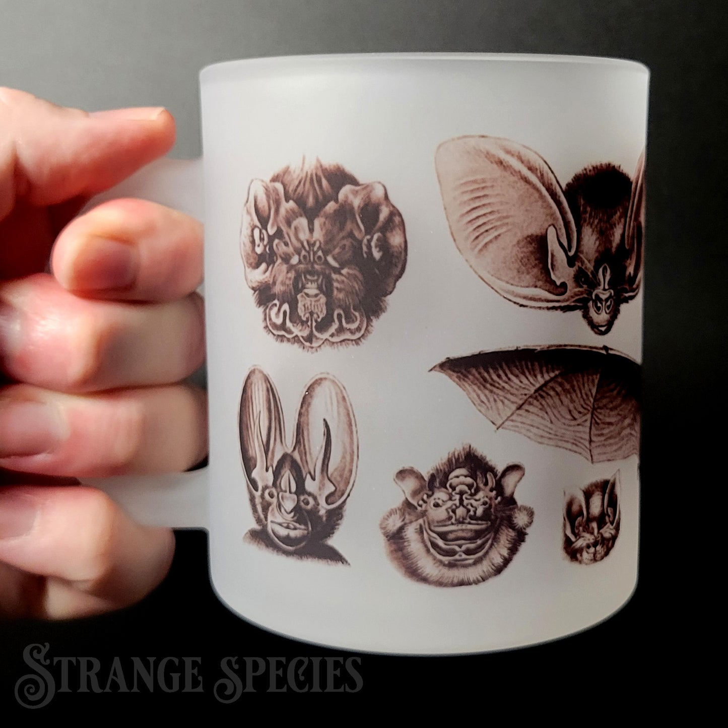 Vintage Bat Illustrations Frosted Glass Mug 11 oz