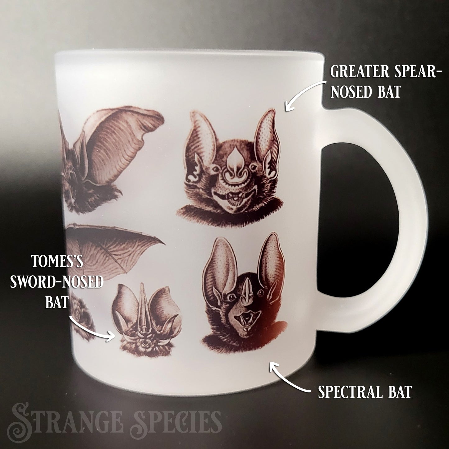 Vintage Bat Illustrations Frosted Glass Mug 11 oz