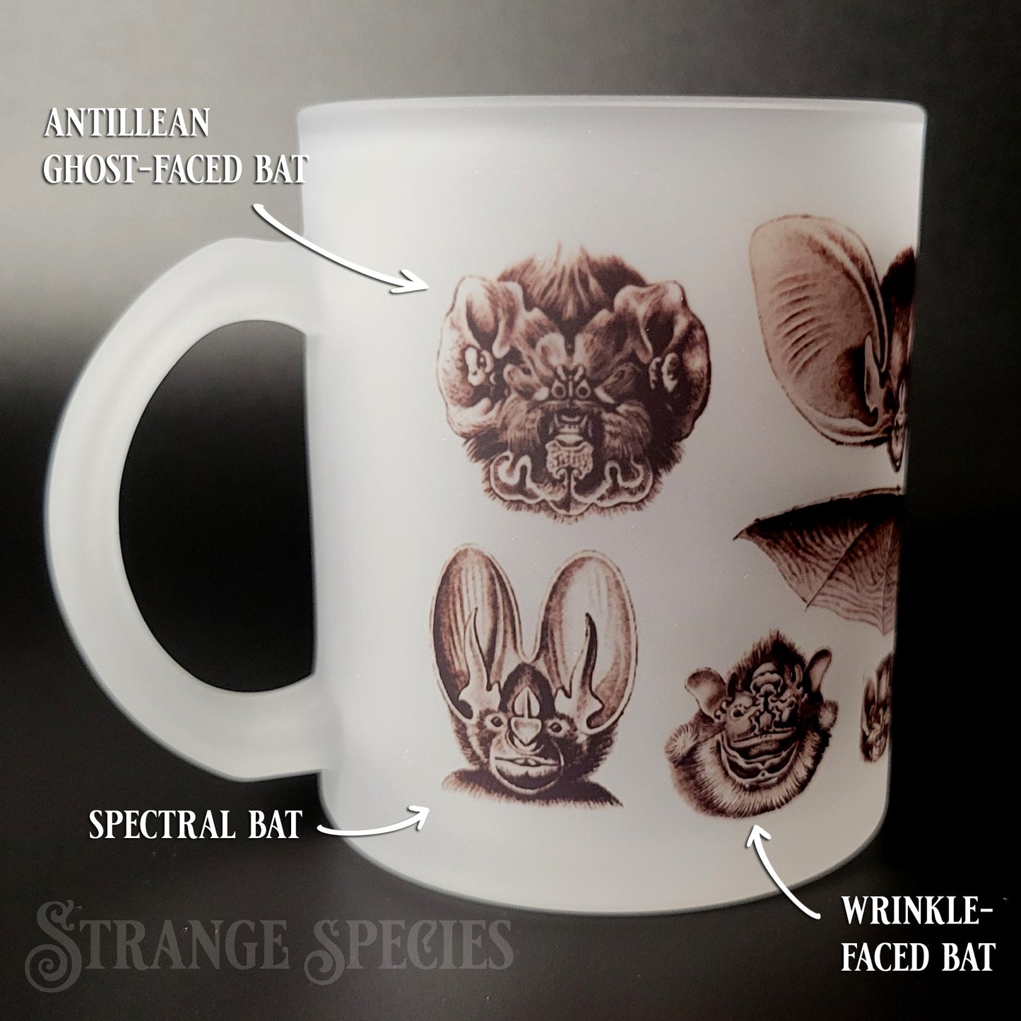 Vintage Bat Illustrations Frosted Glass Mug 11 oz