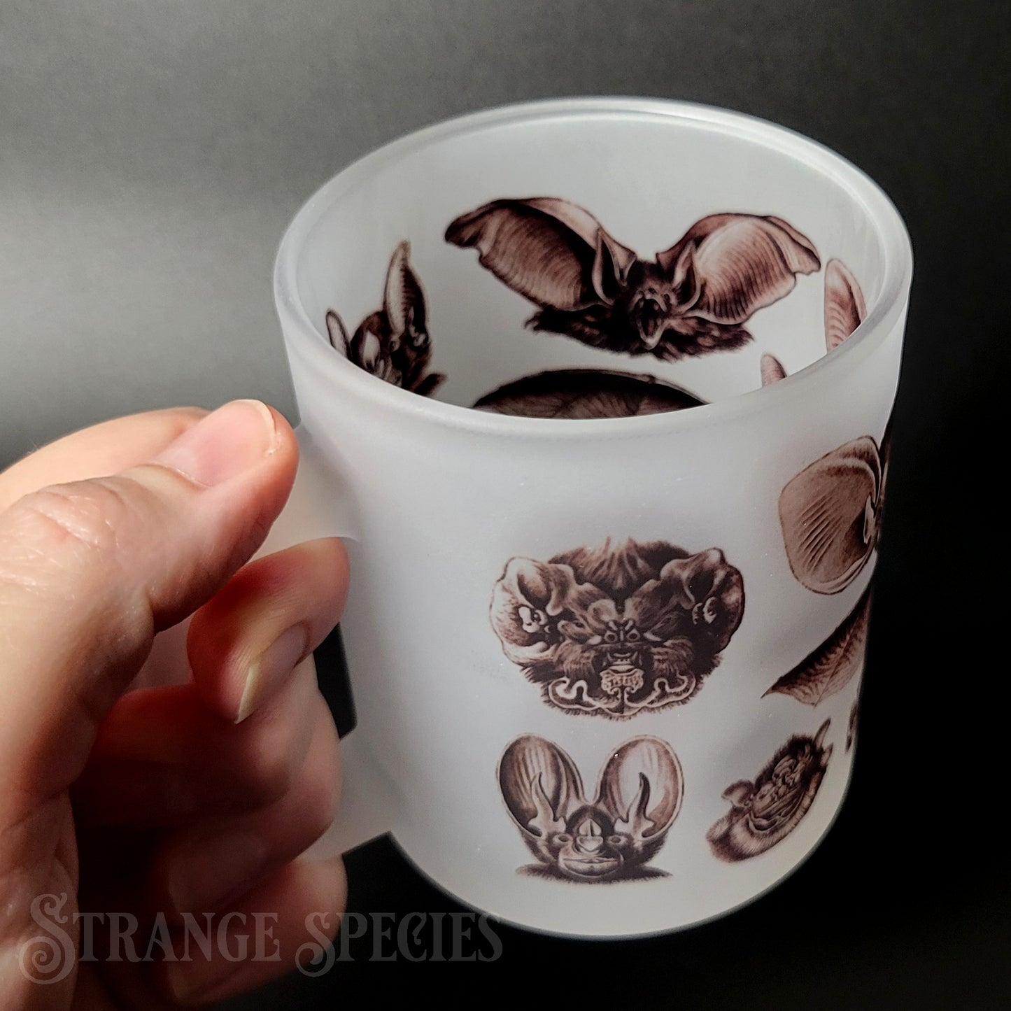 Vintage Bat Illustrations Frosted Glass Mug 11 oz