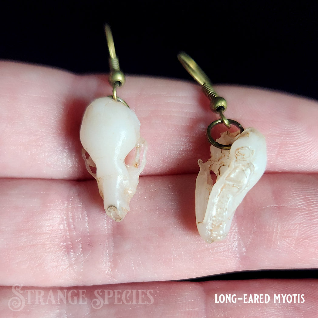Replica Bat Skull Dangle Earrings