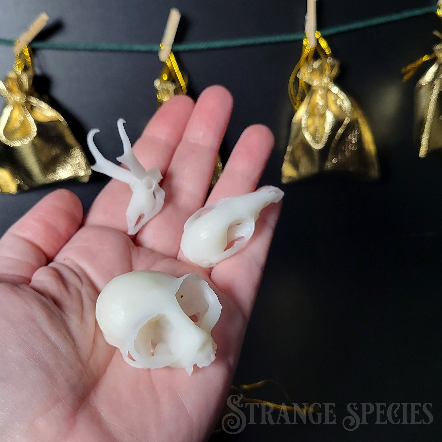 Mini Mystery Skull 12-Day Advent Halloween Holiday Gift Set