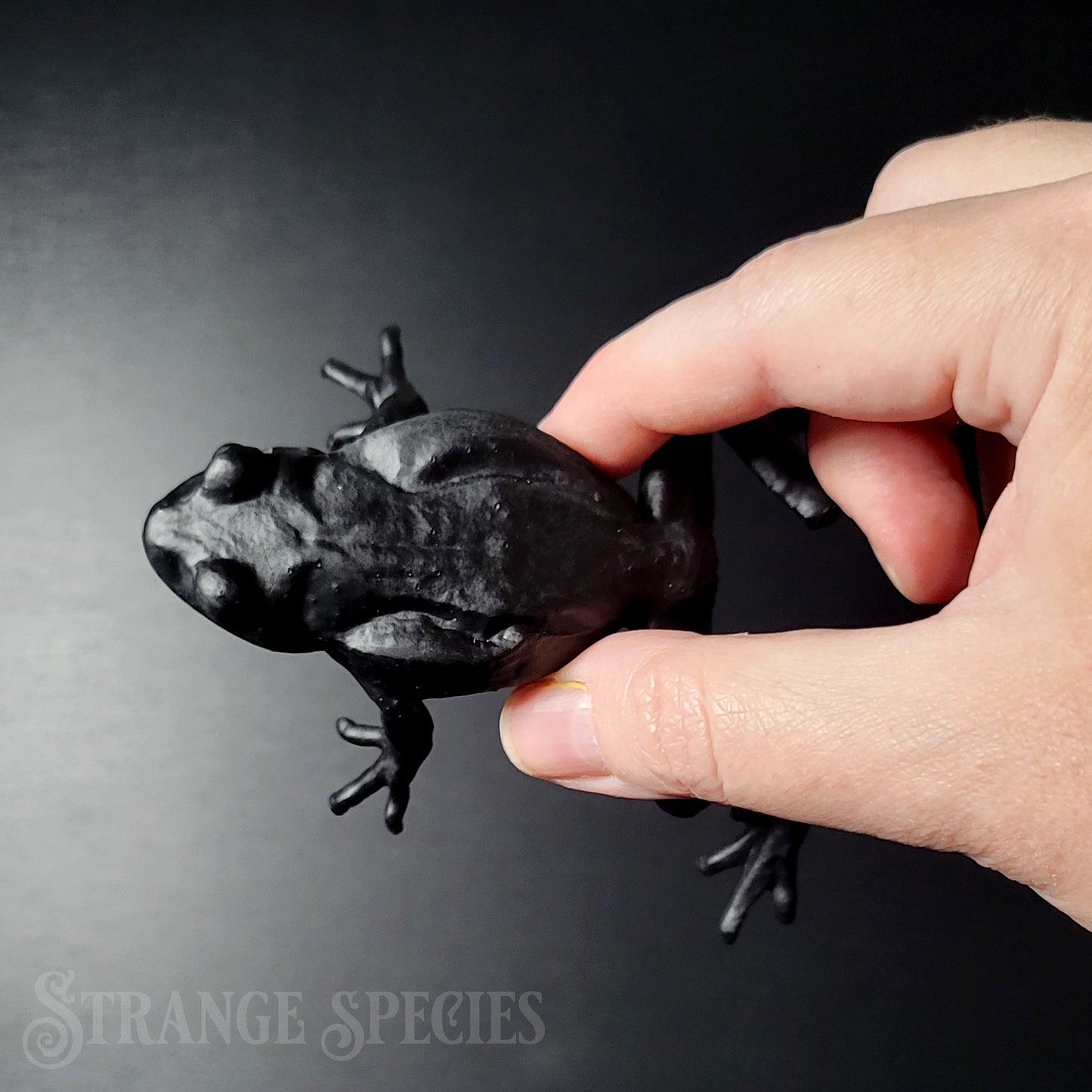 Paint-Your-Own Frog Ornament