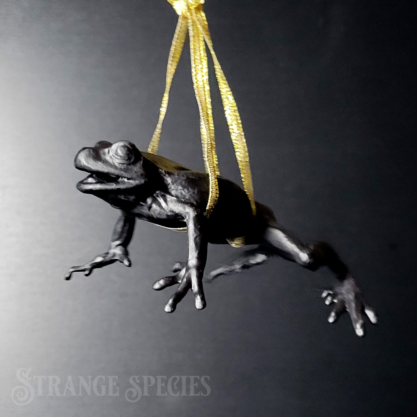 Paint-Your-Own Frog Ornament