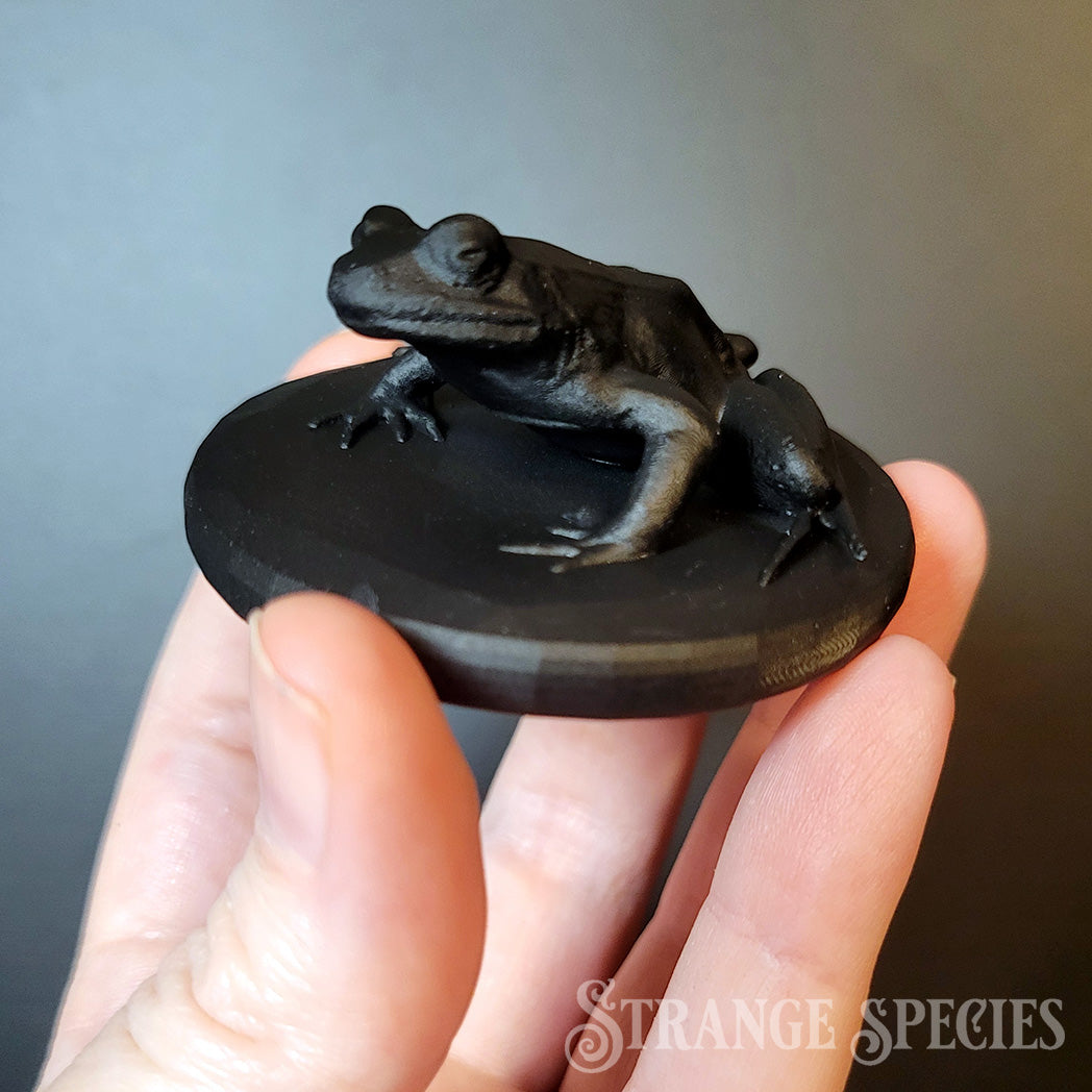 Paint Your Own Frog Magnet