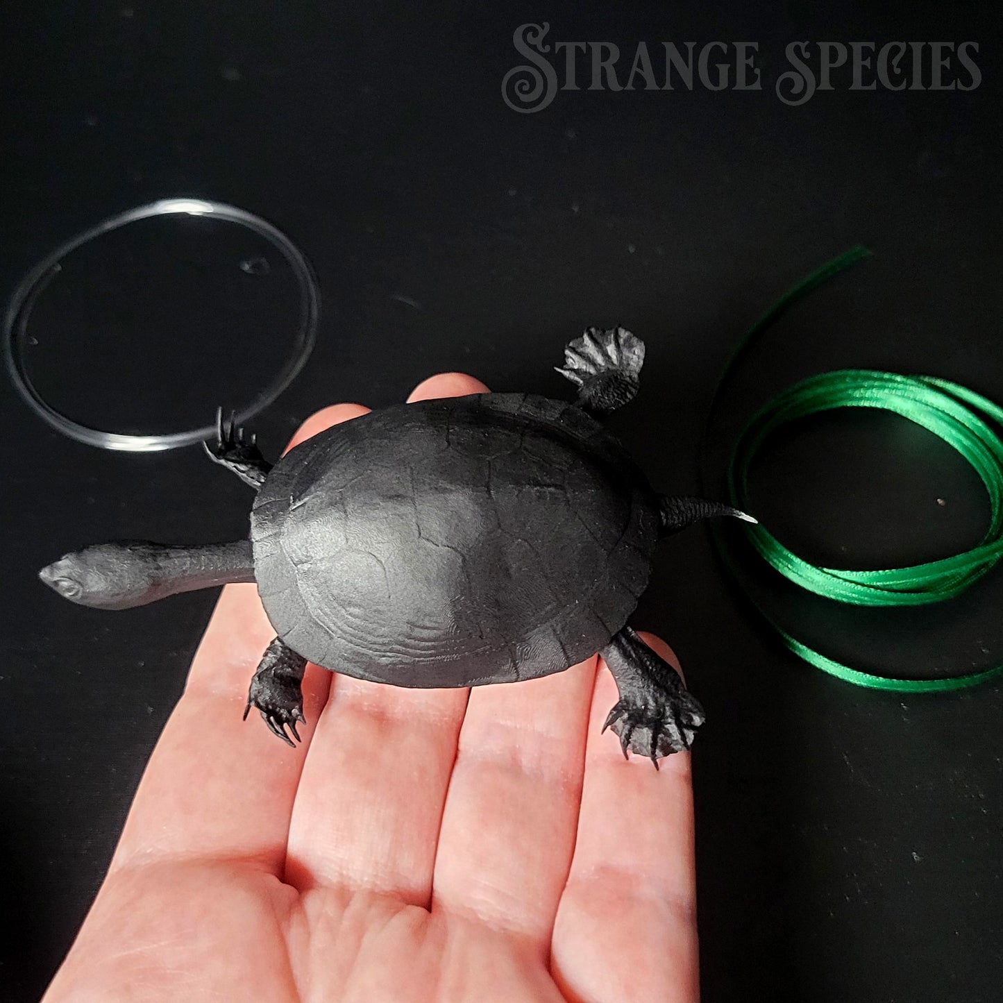 Paint-Your-Own Red-Eared Slider Turtle Ornament