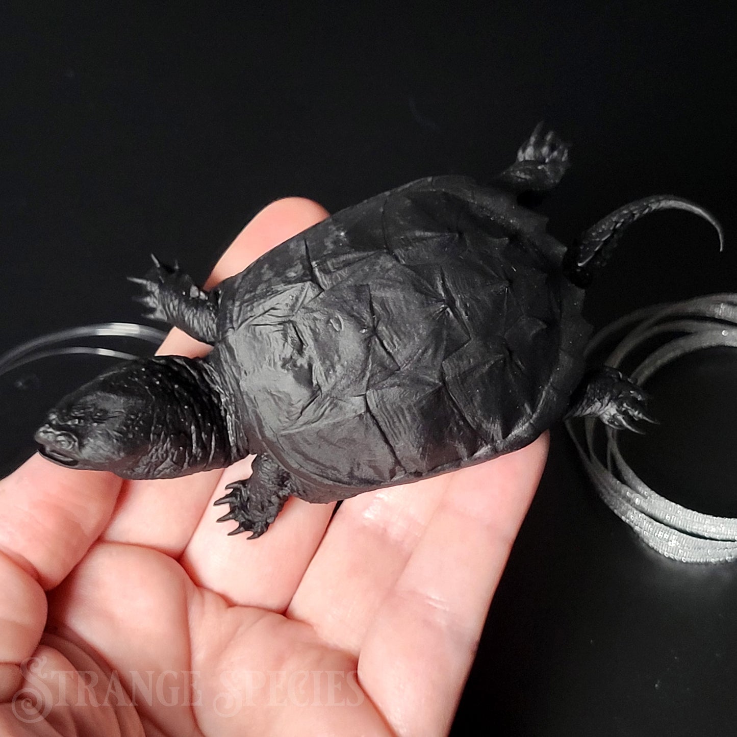 Paint-Your-Own Snapping Turtle Ornament