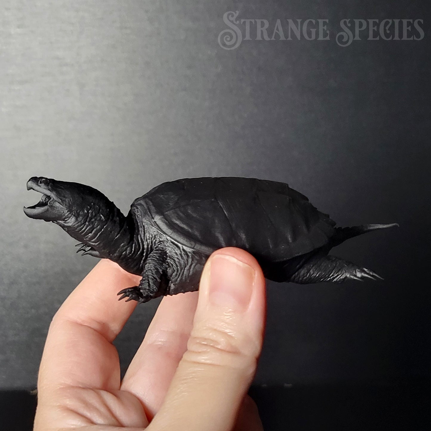 Paint-Your-Own Snapping Turtle Ornament