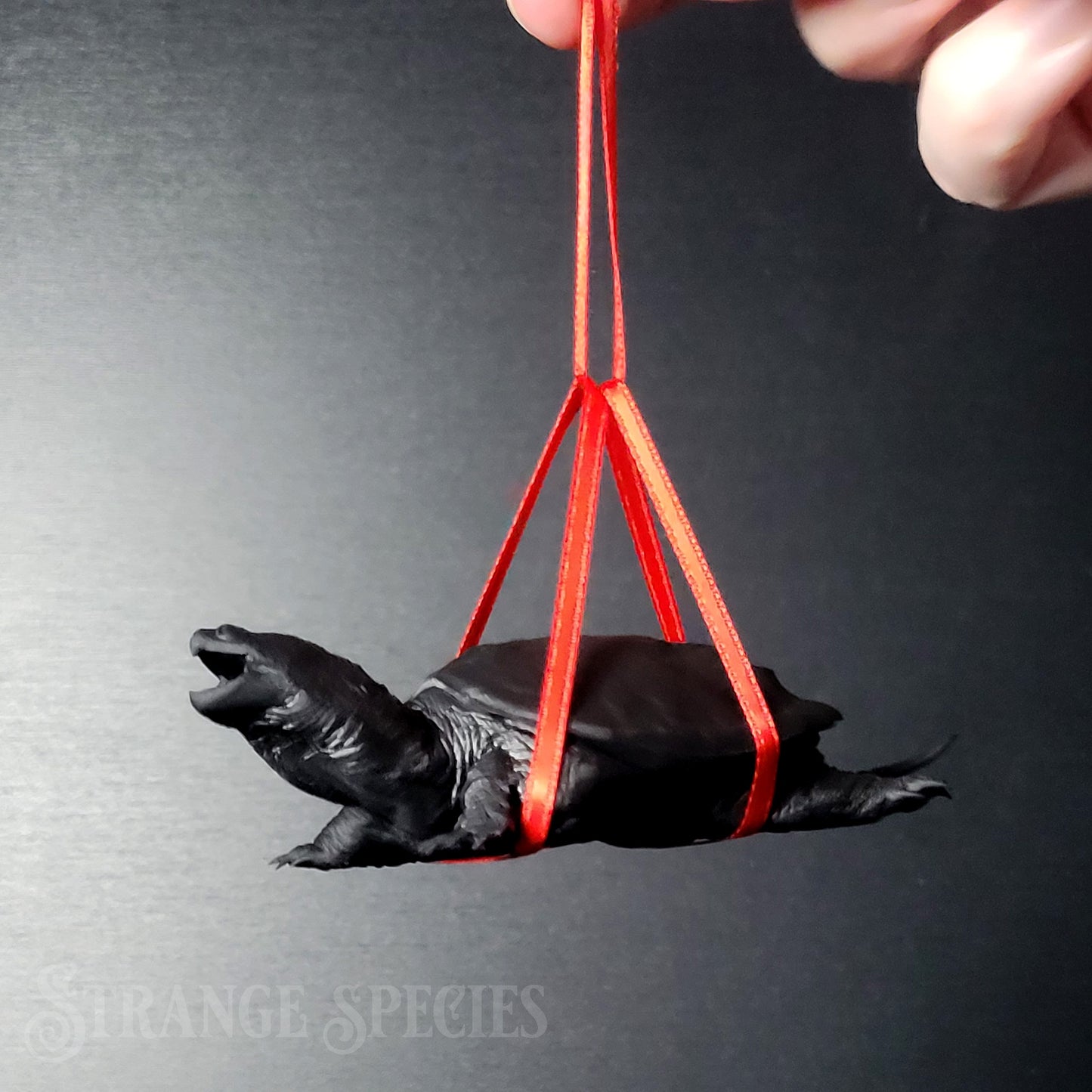 Paint-Your-Own Snapping Turtle Ornament