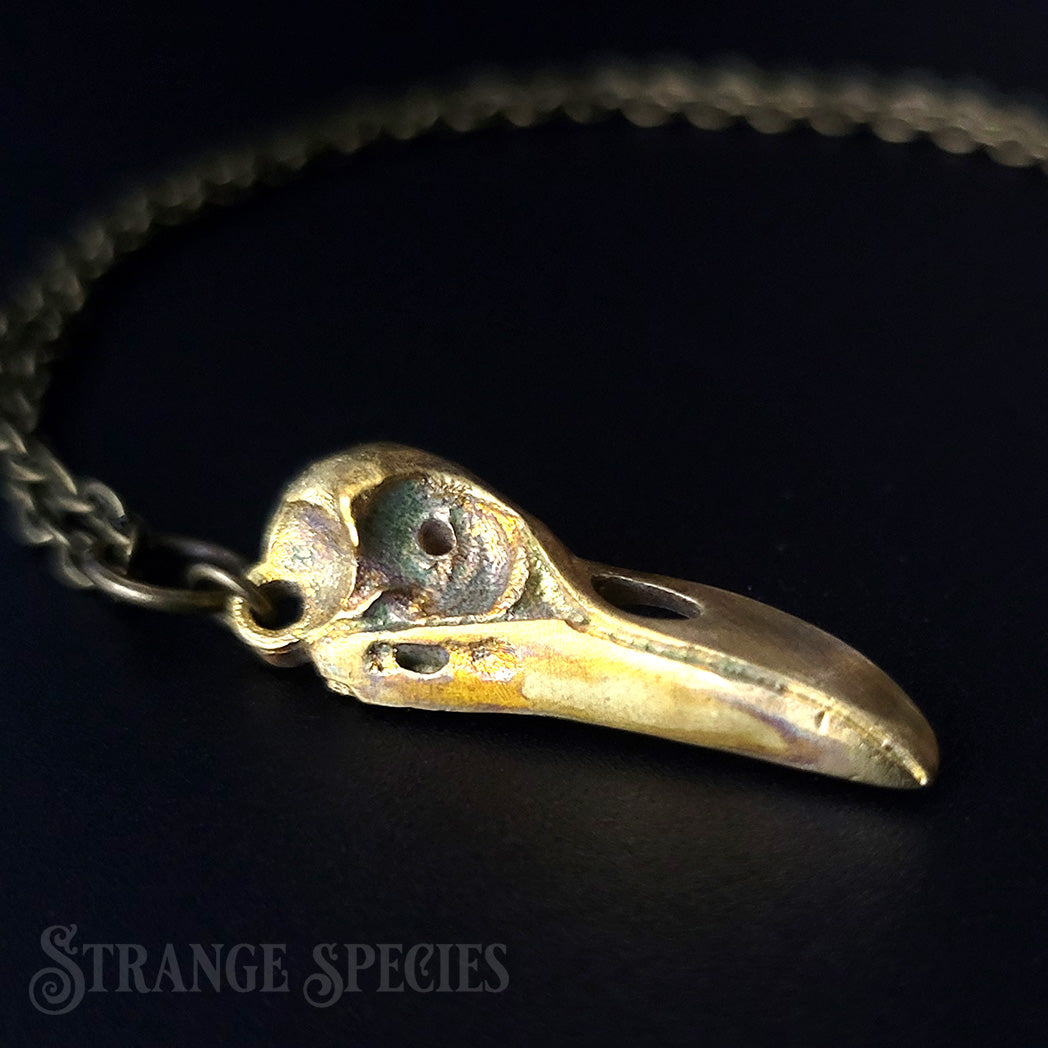 Brass Raven Skull Pendant Necklace