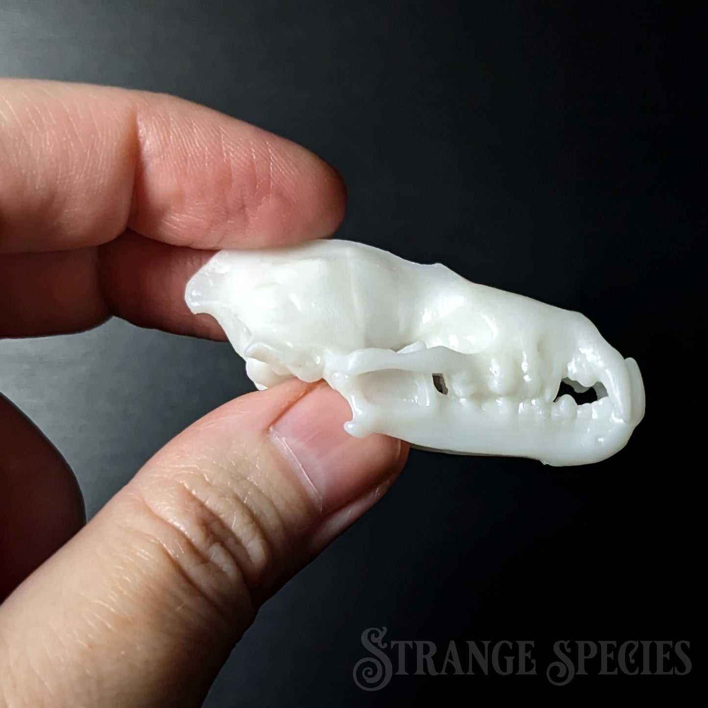 Life Sized Spectral Bat Skull Replica