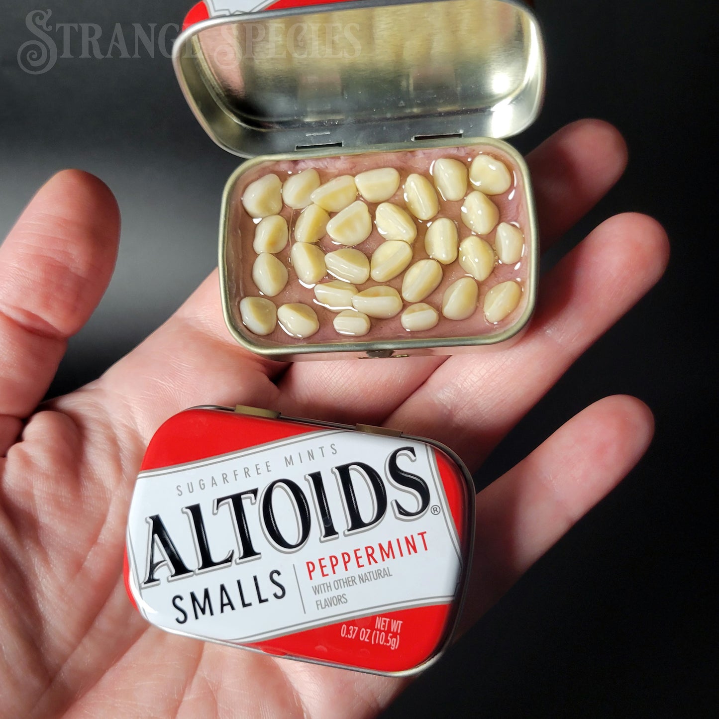 (Tiny) Tins Full of Teeth