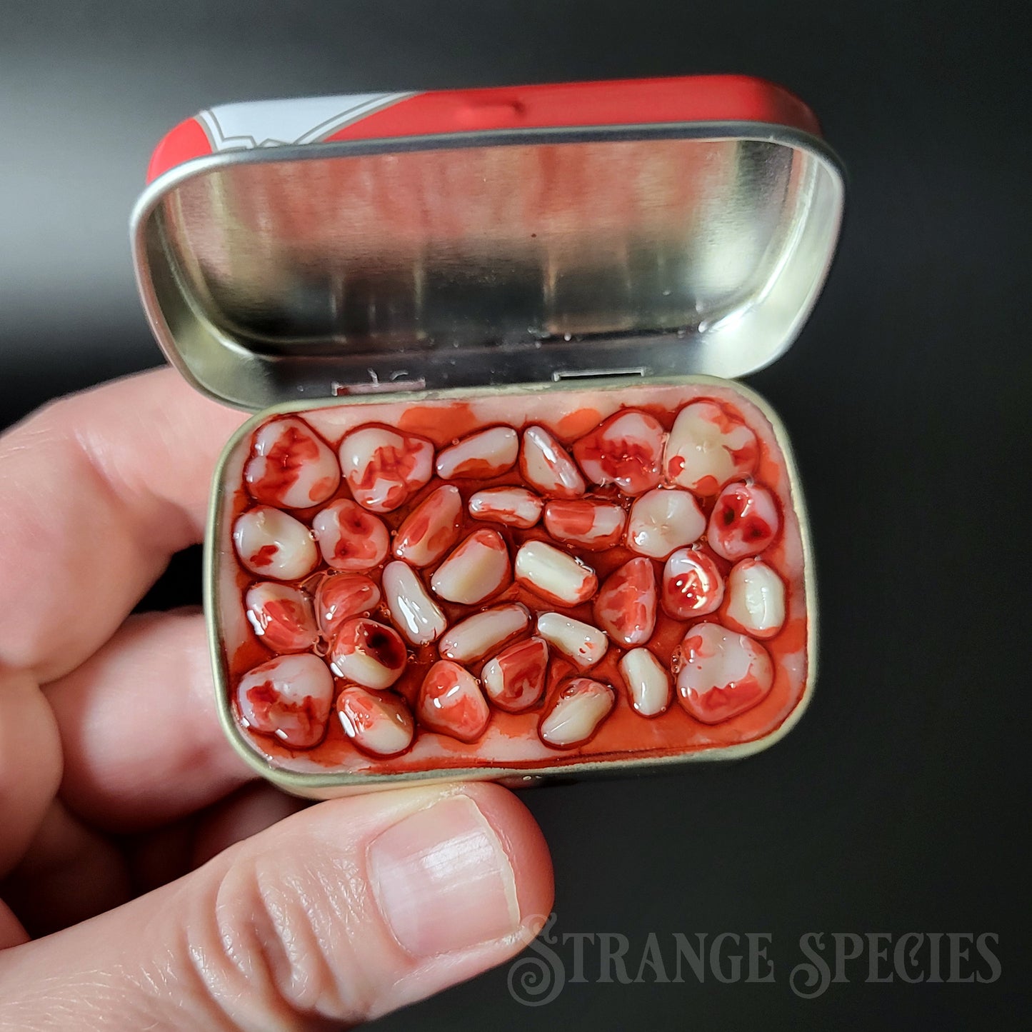 (Tiny) Tins Full of Teeth